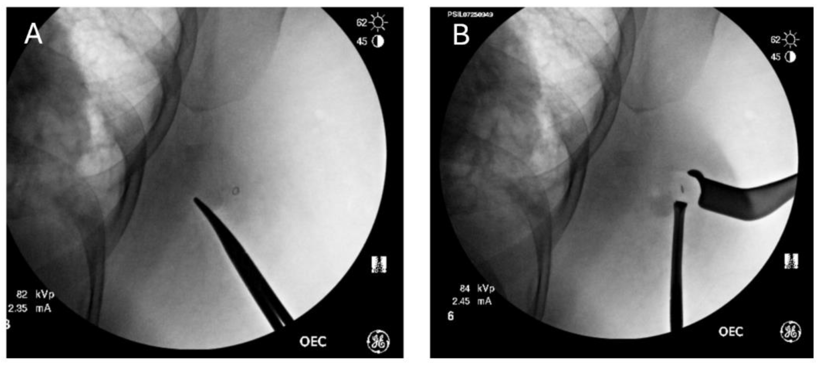 Preprints 162278 g002