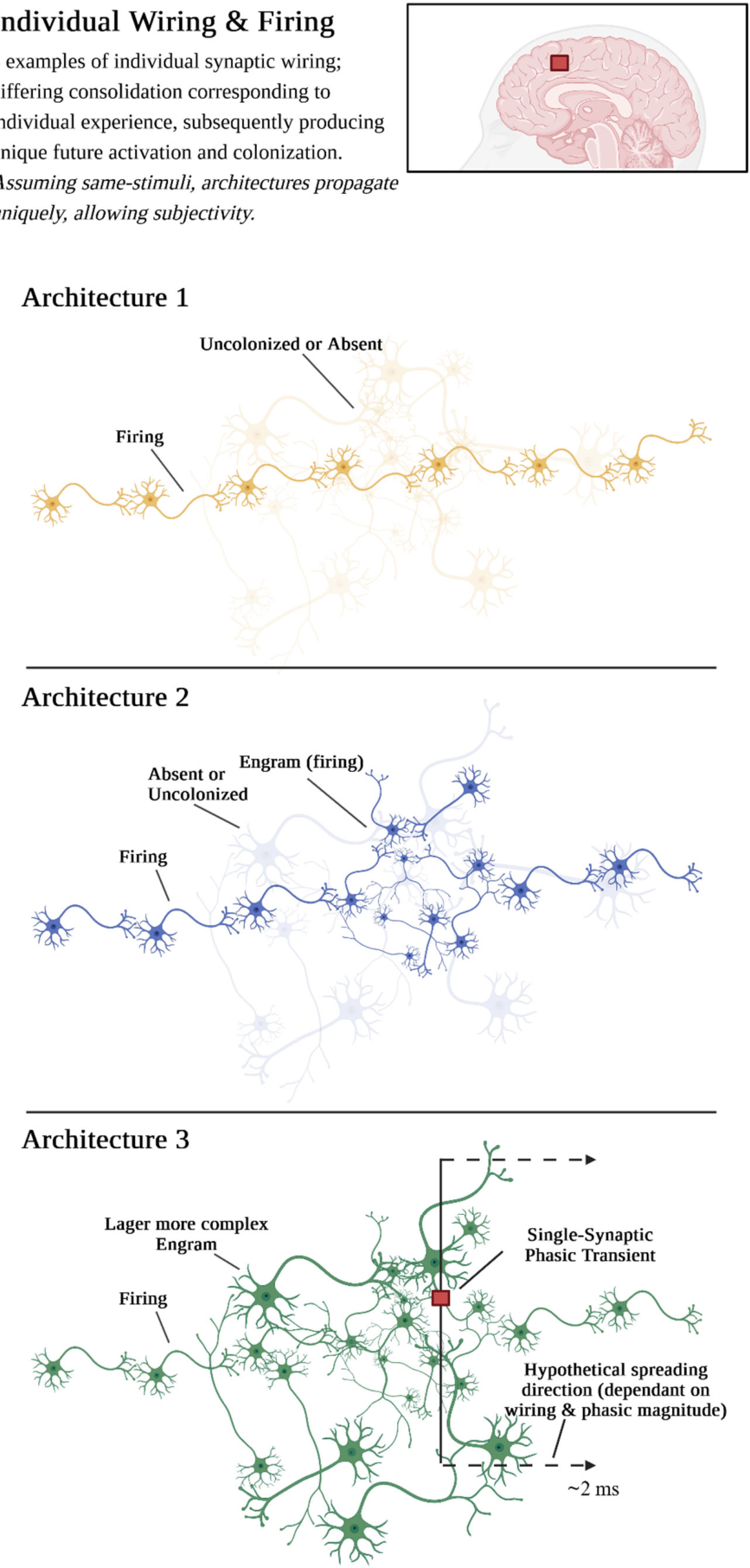 Preprints 236615 g010 Preprints 236615 g010