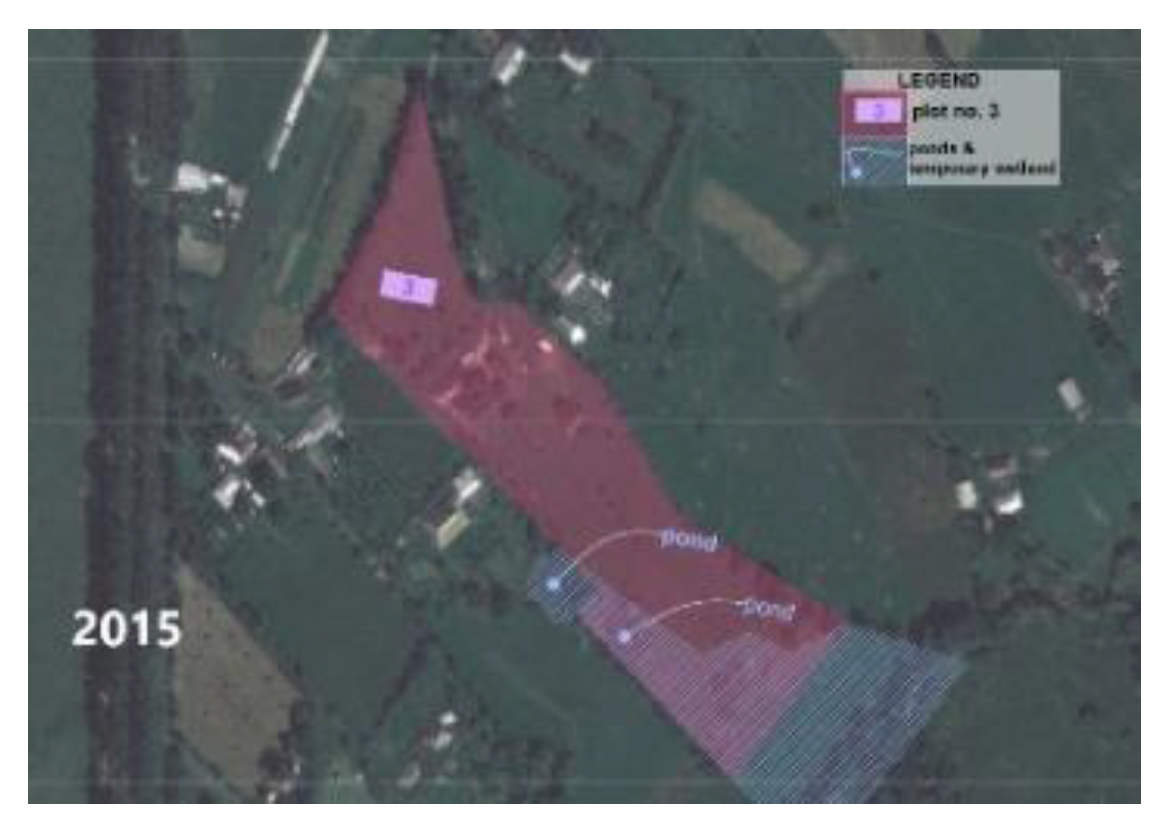 Preprints 154858 g008