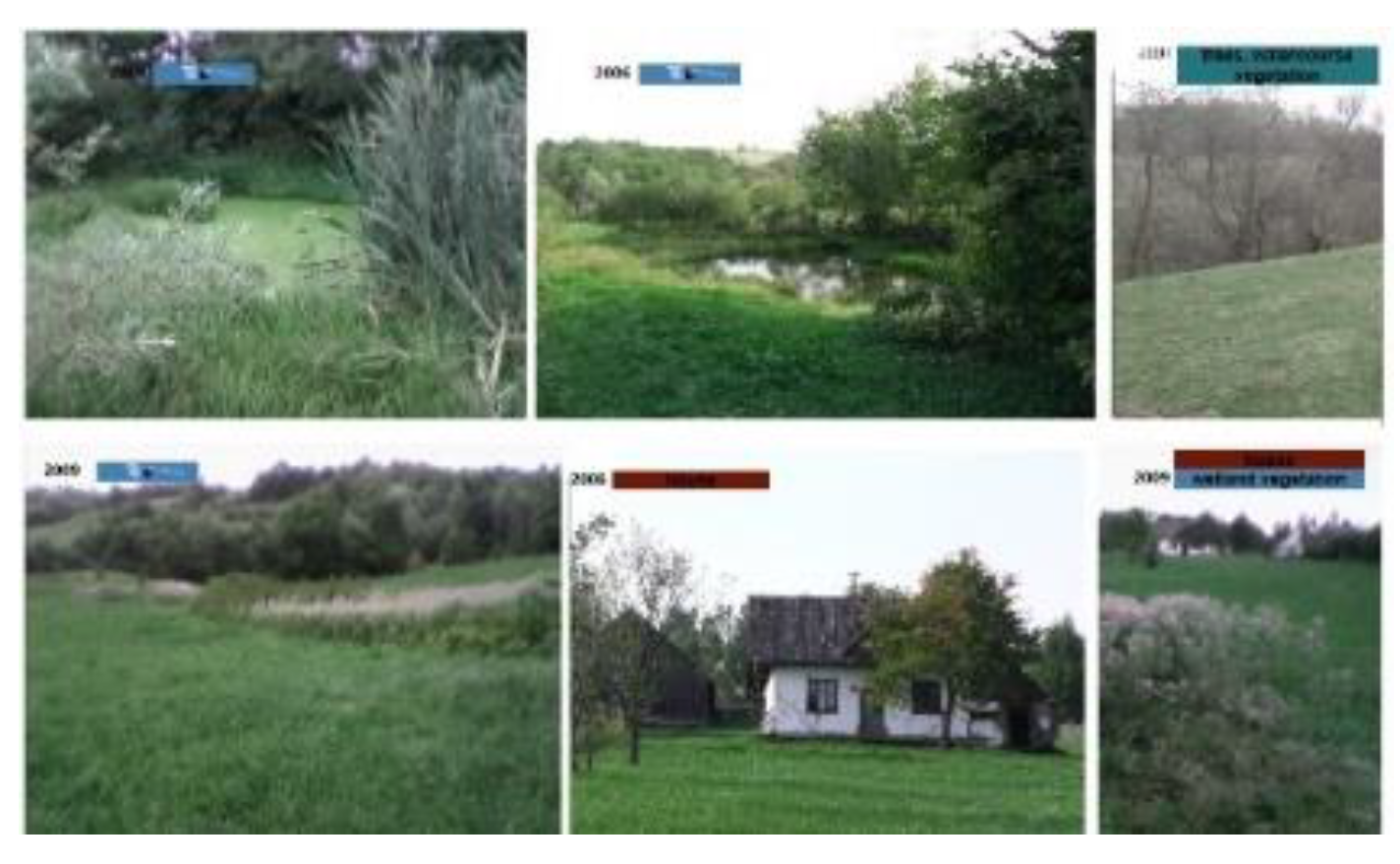 Preprints 154858 g013