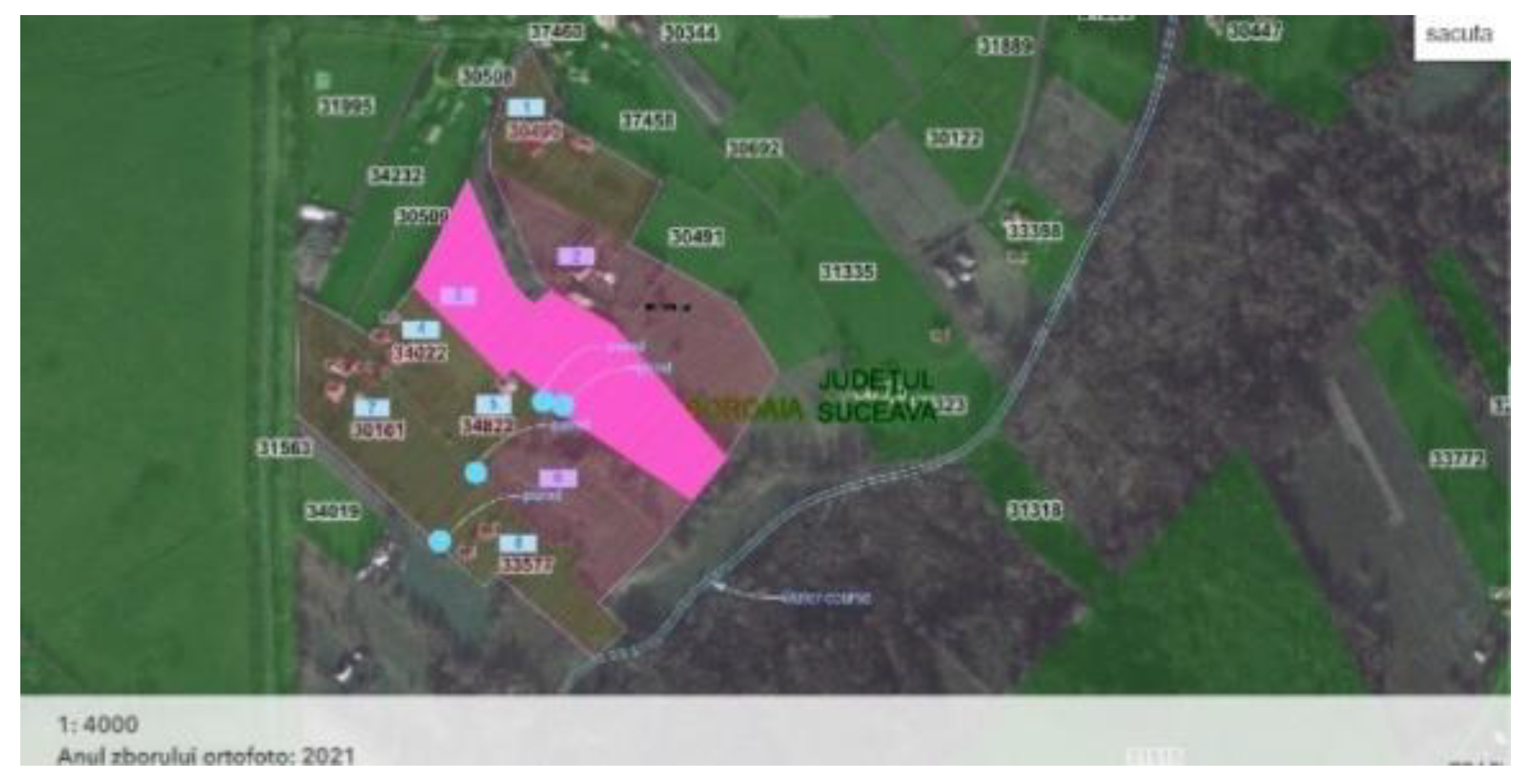 Preprints 154858 g015