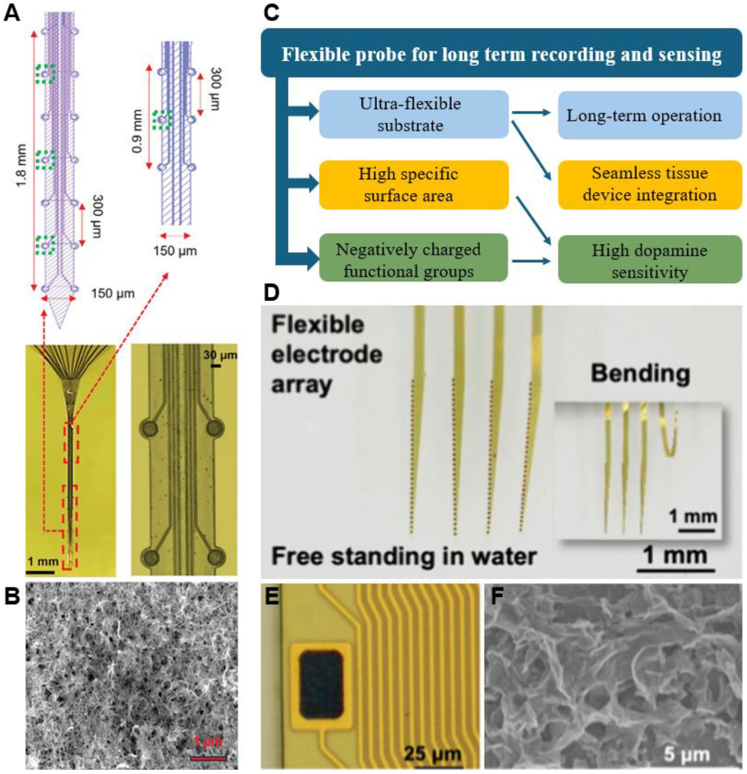 Preprints 145752 g002