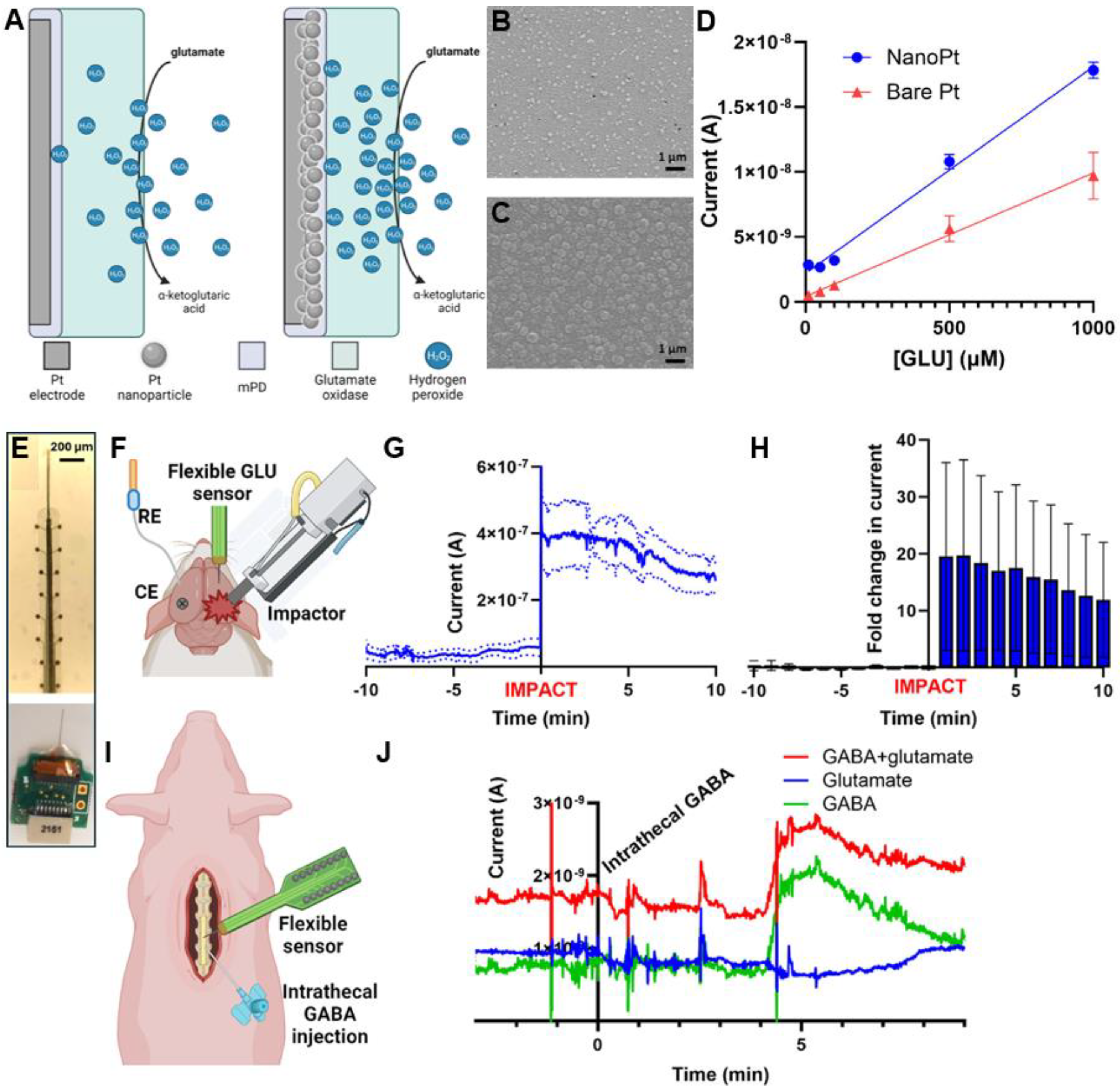 Preprints 145752 g003