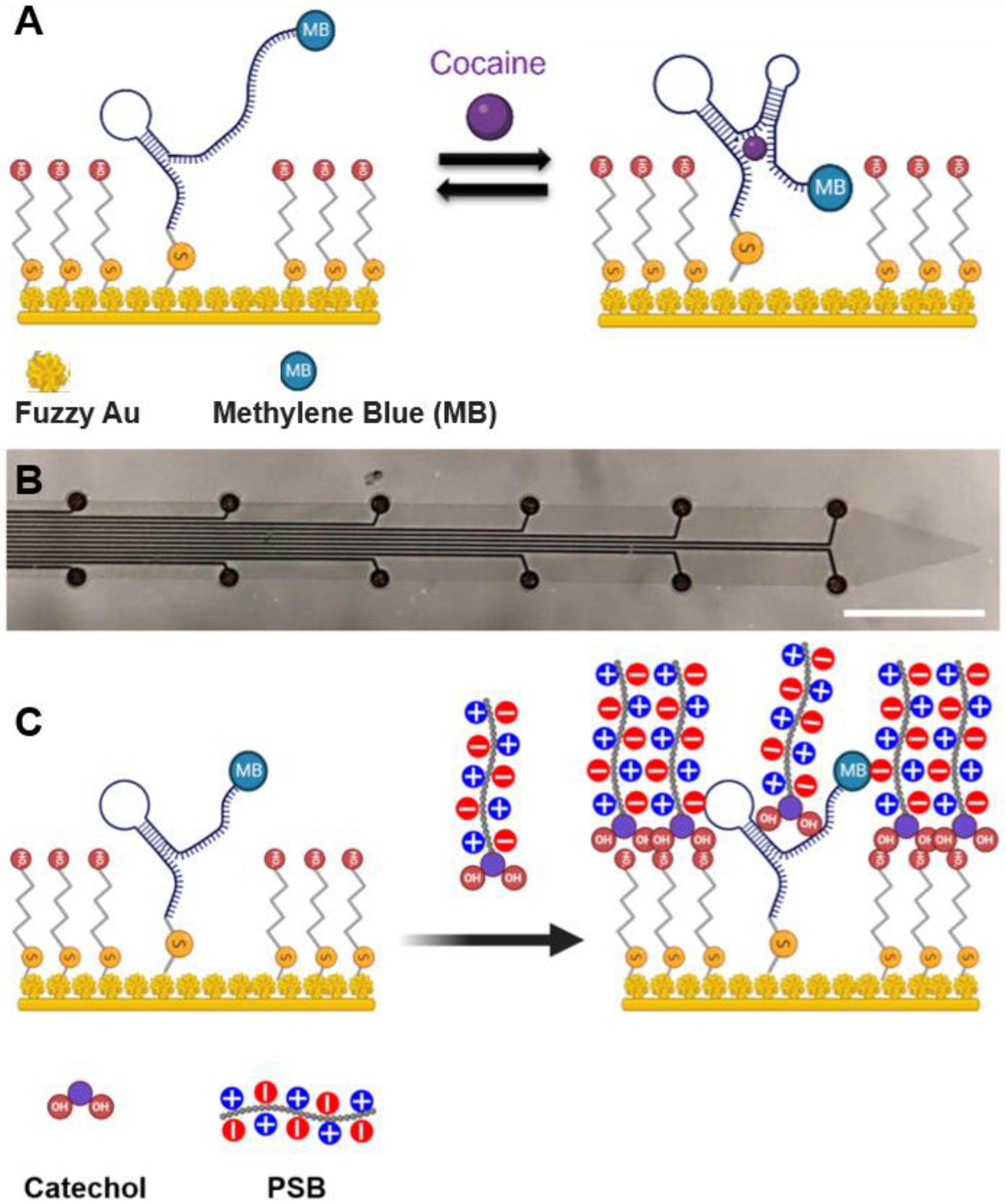 Preprints 145752 g004