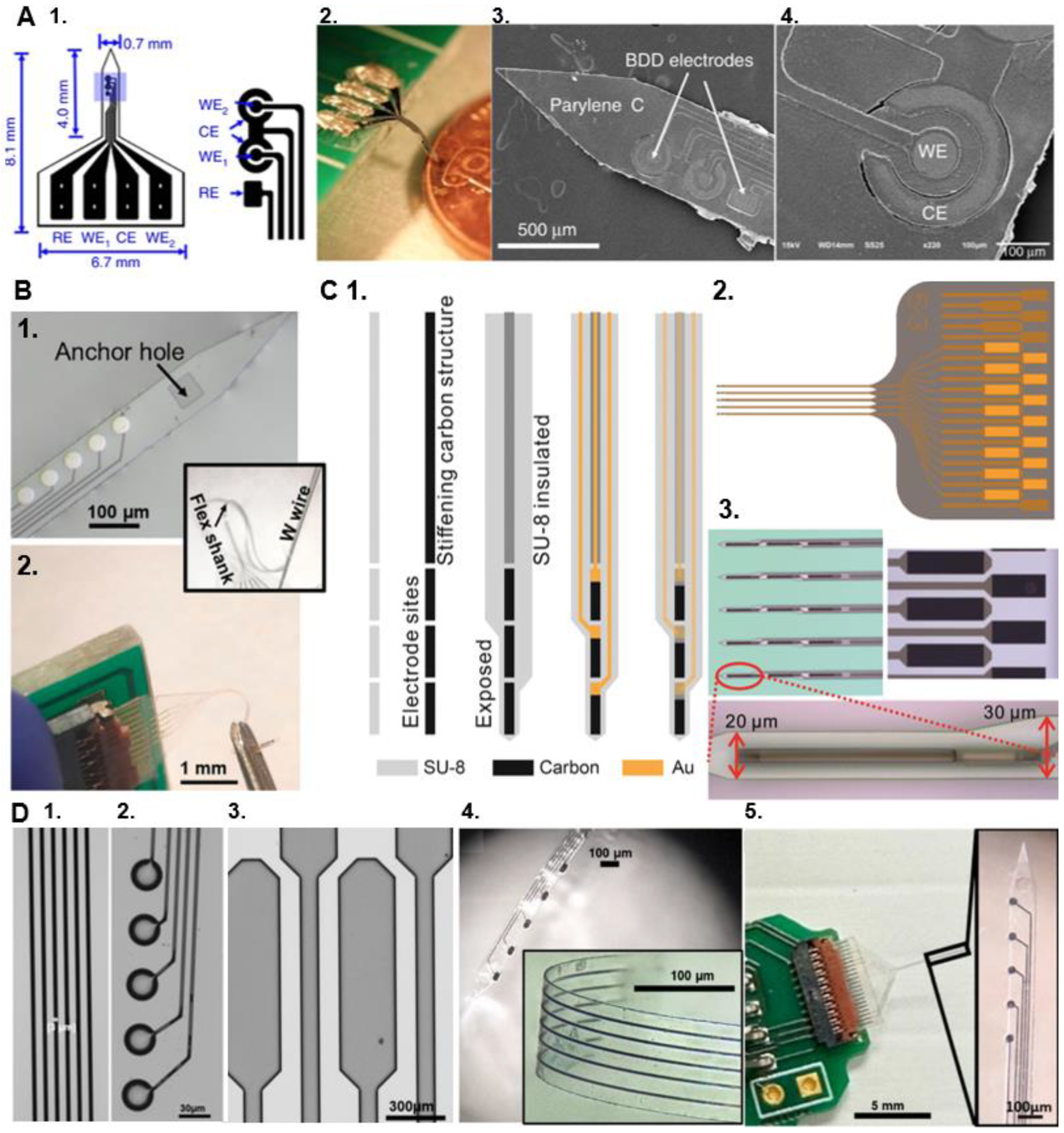 Preprints 145752 g005