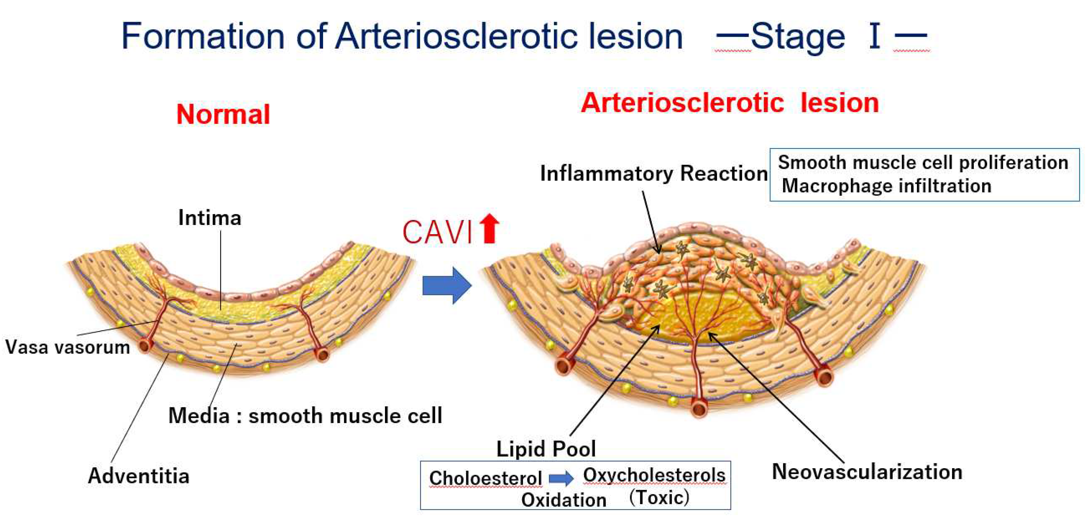 Preprints 86808 g001