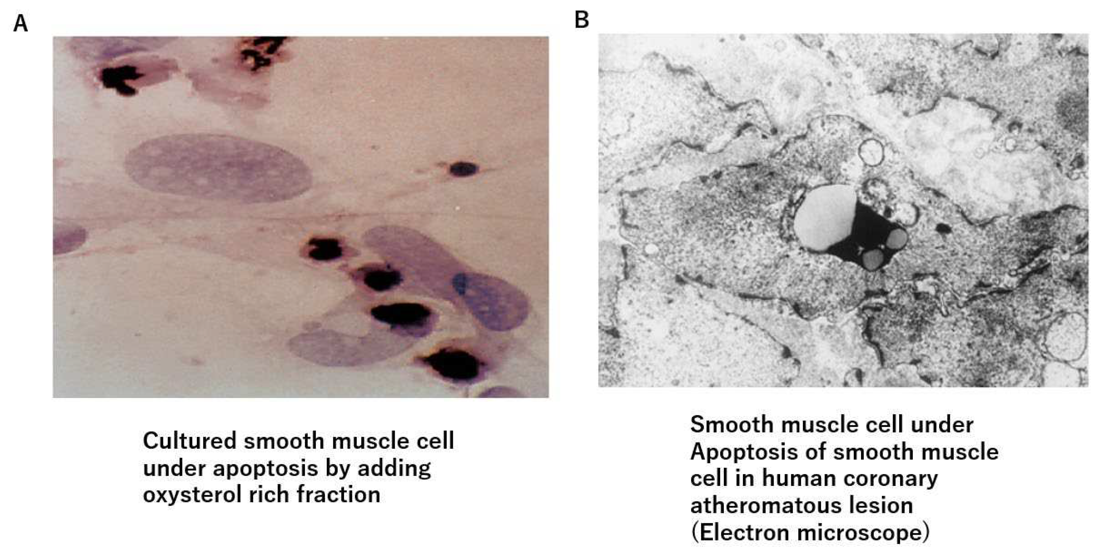 Preprints 86808 g002