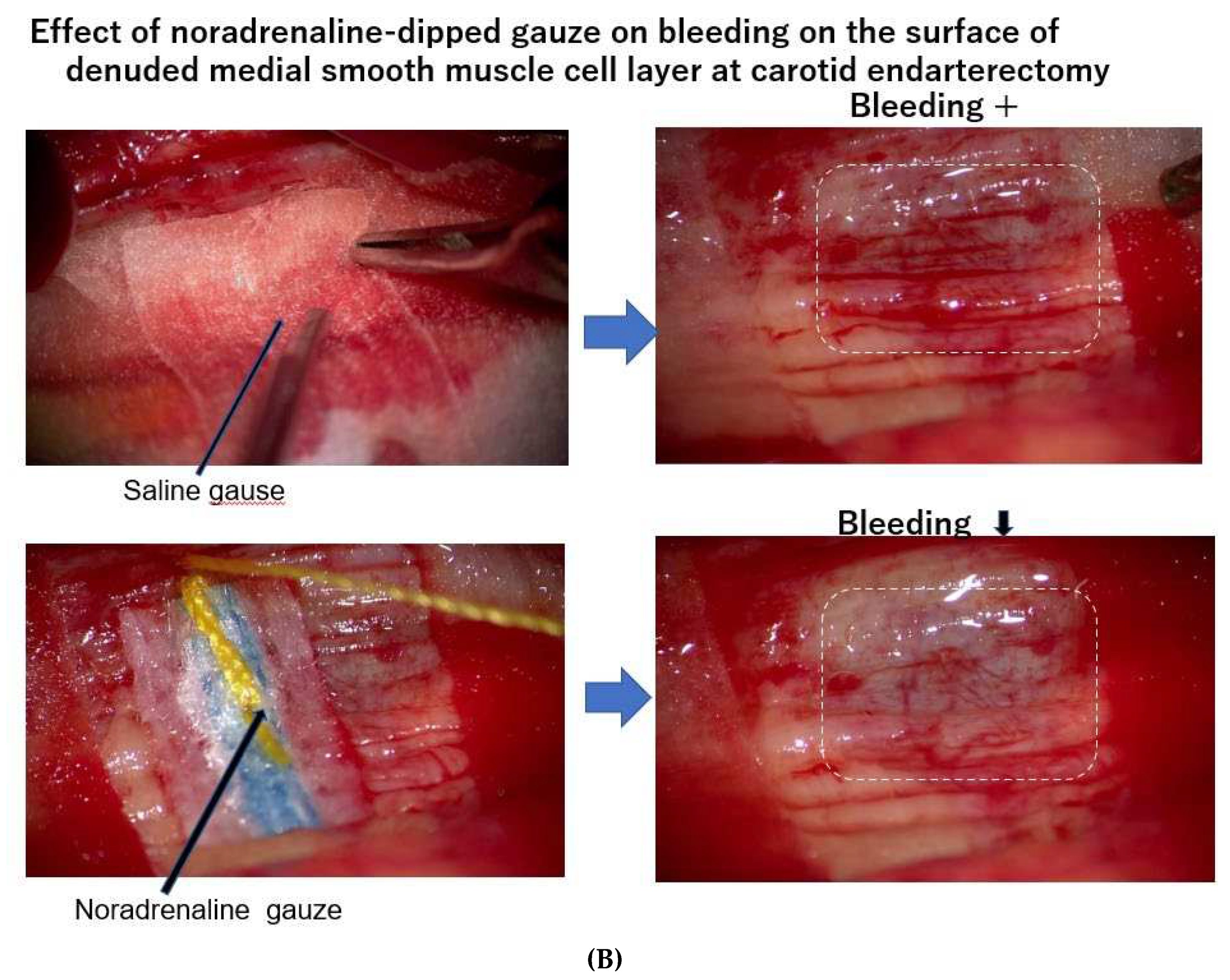 Preprints 86808 g003b