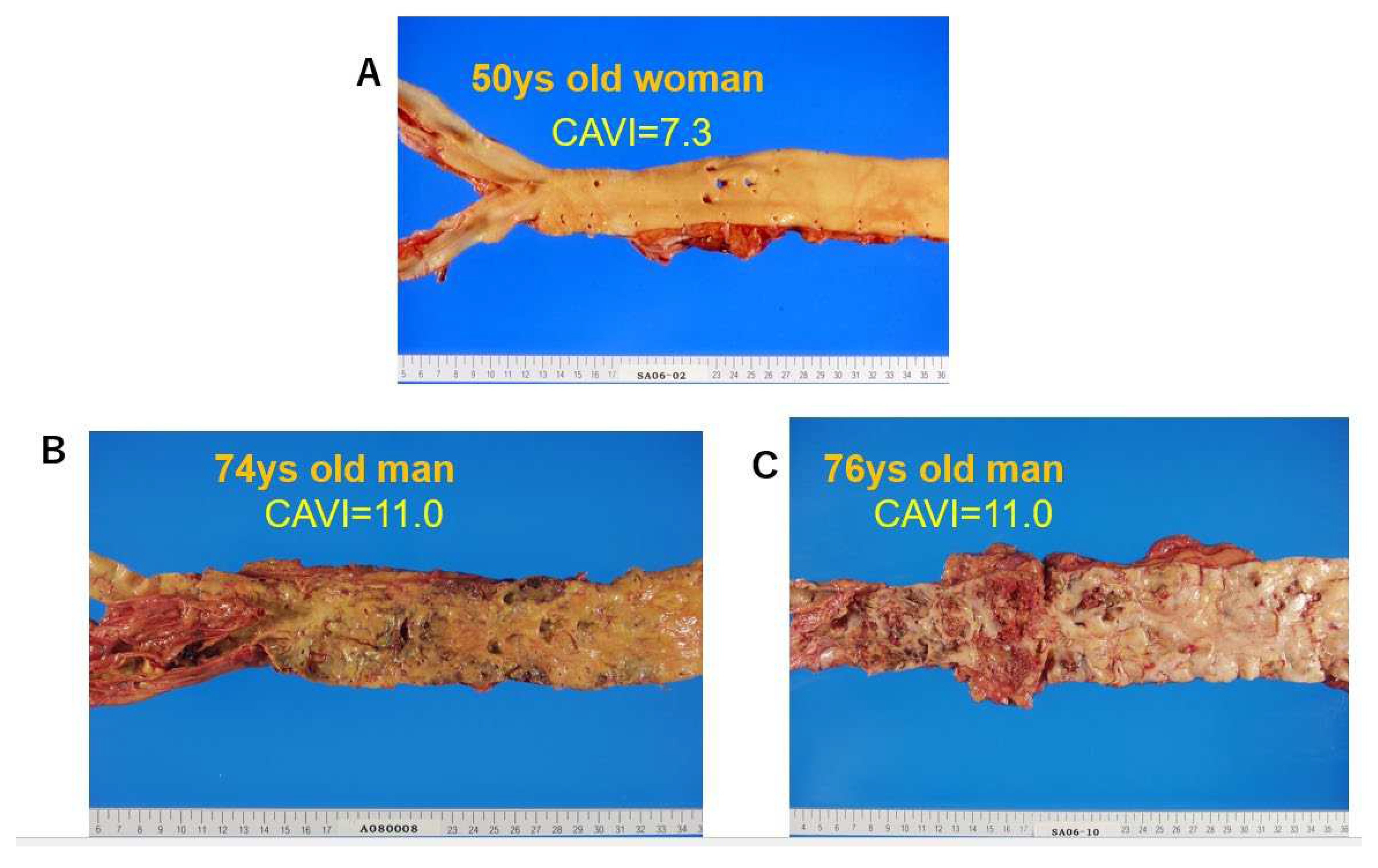 Preprints 86808 g004