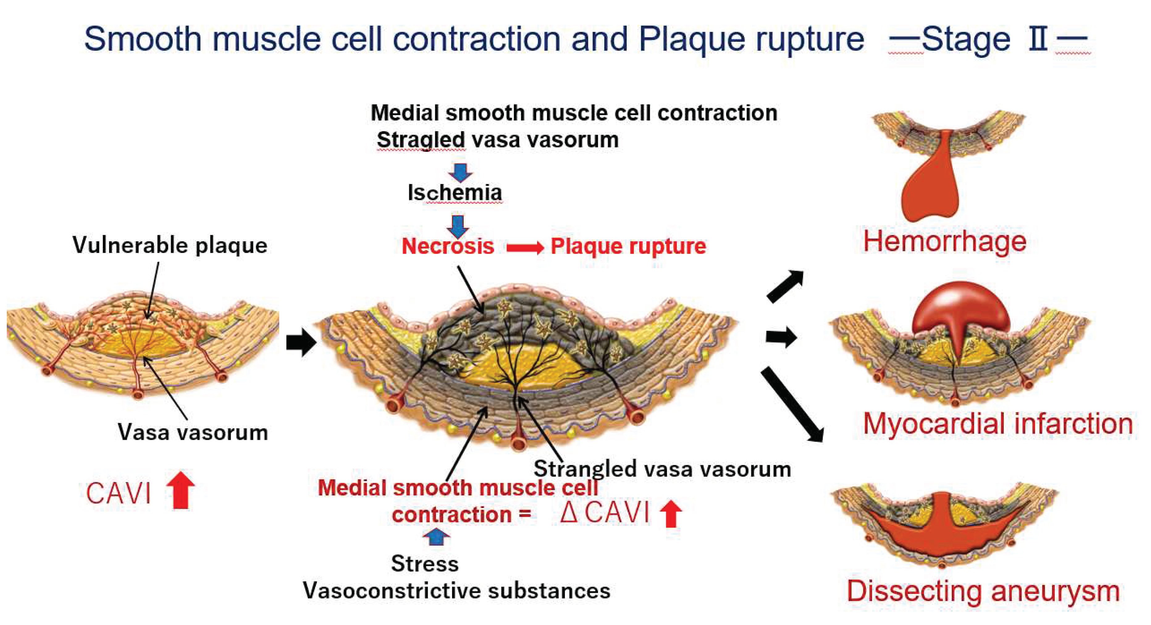 Preprints 86808 g005