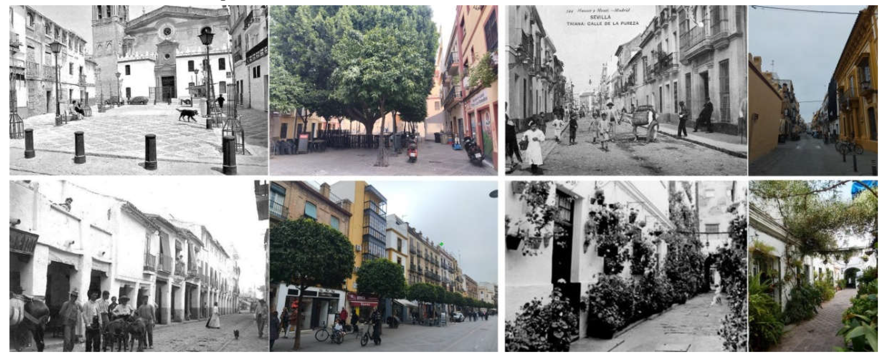 Preprints 152598 g017