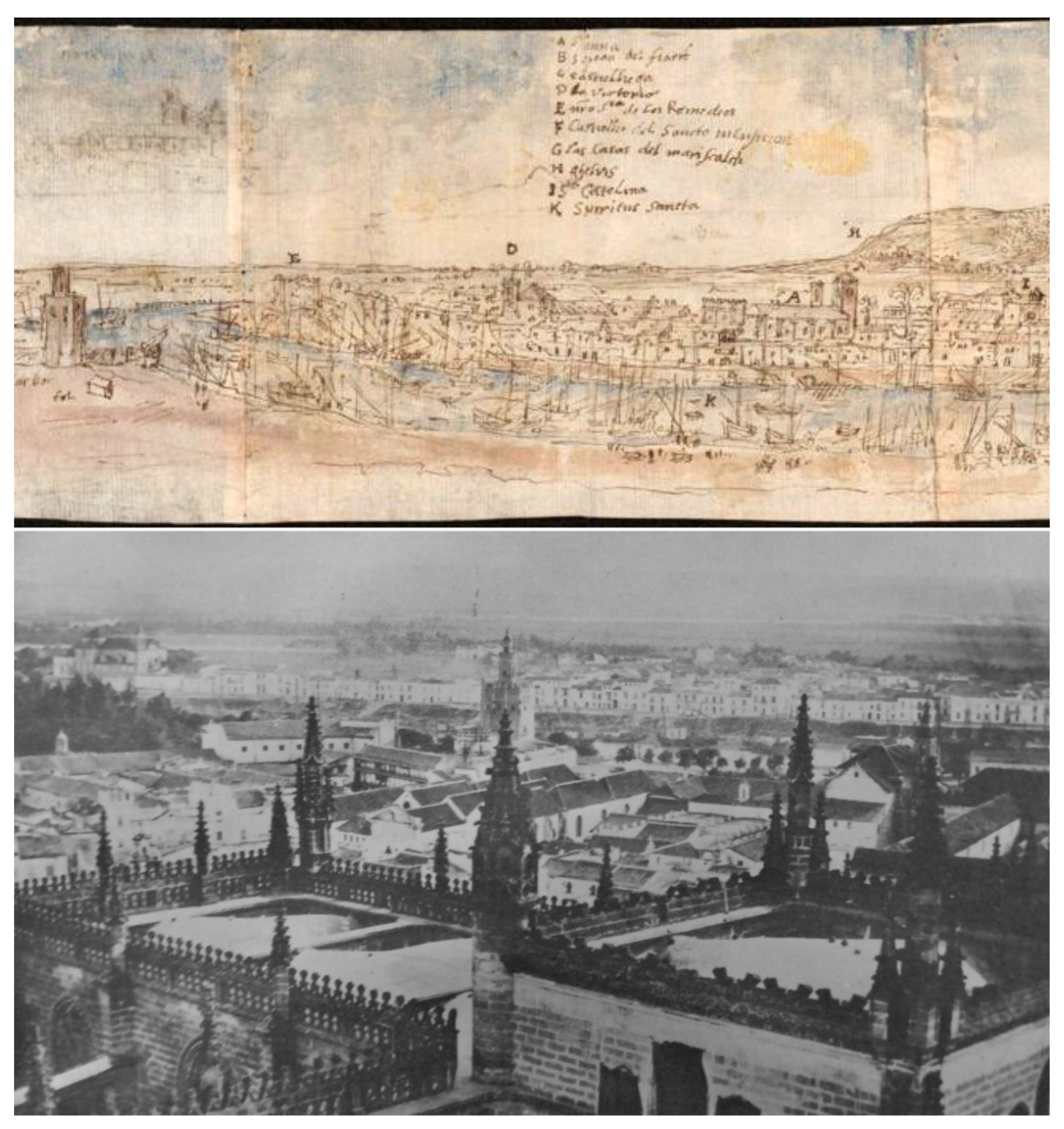 Preprints 152598 g021