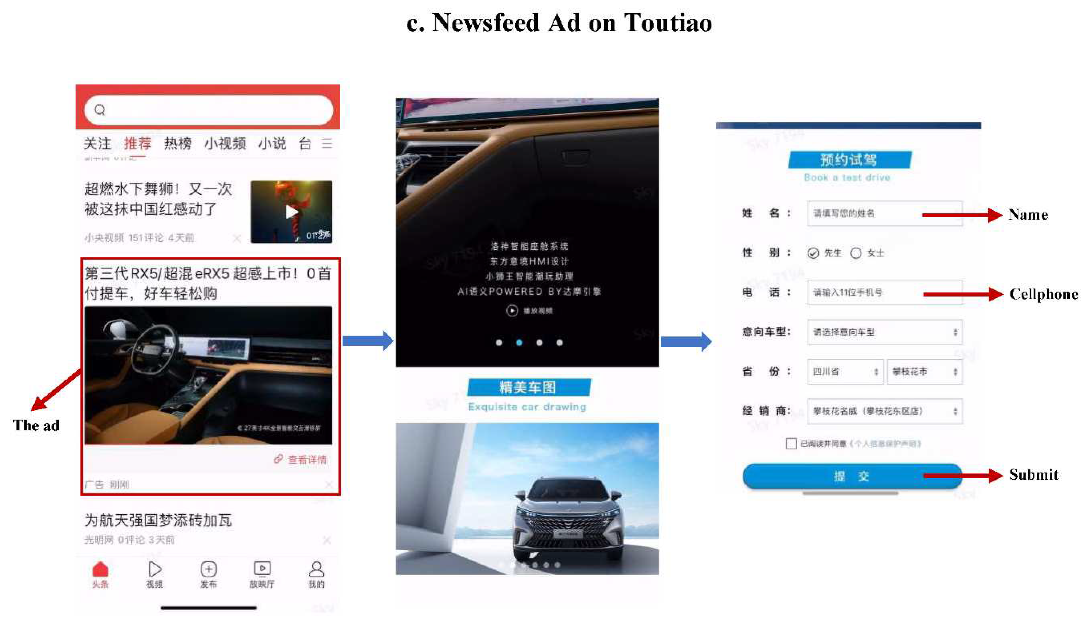 Preprints 91263 g001b