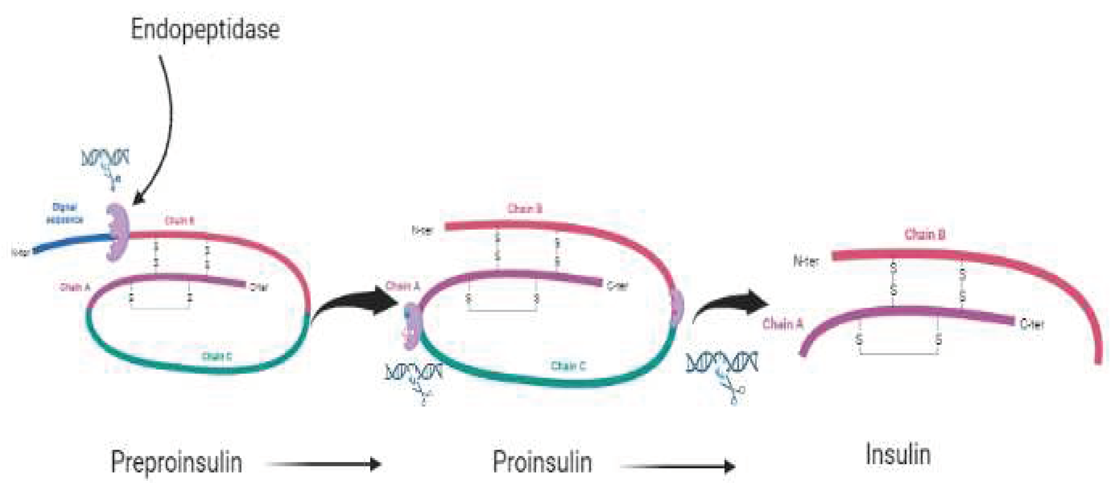Preprints 79383 g001
