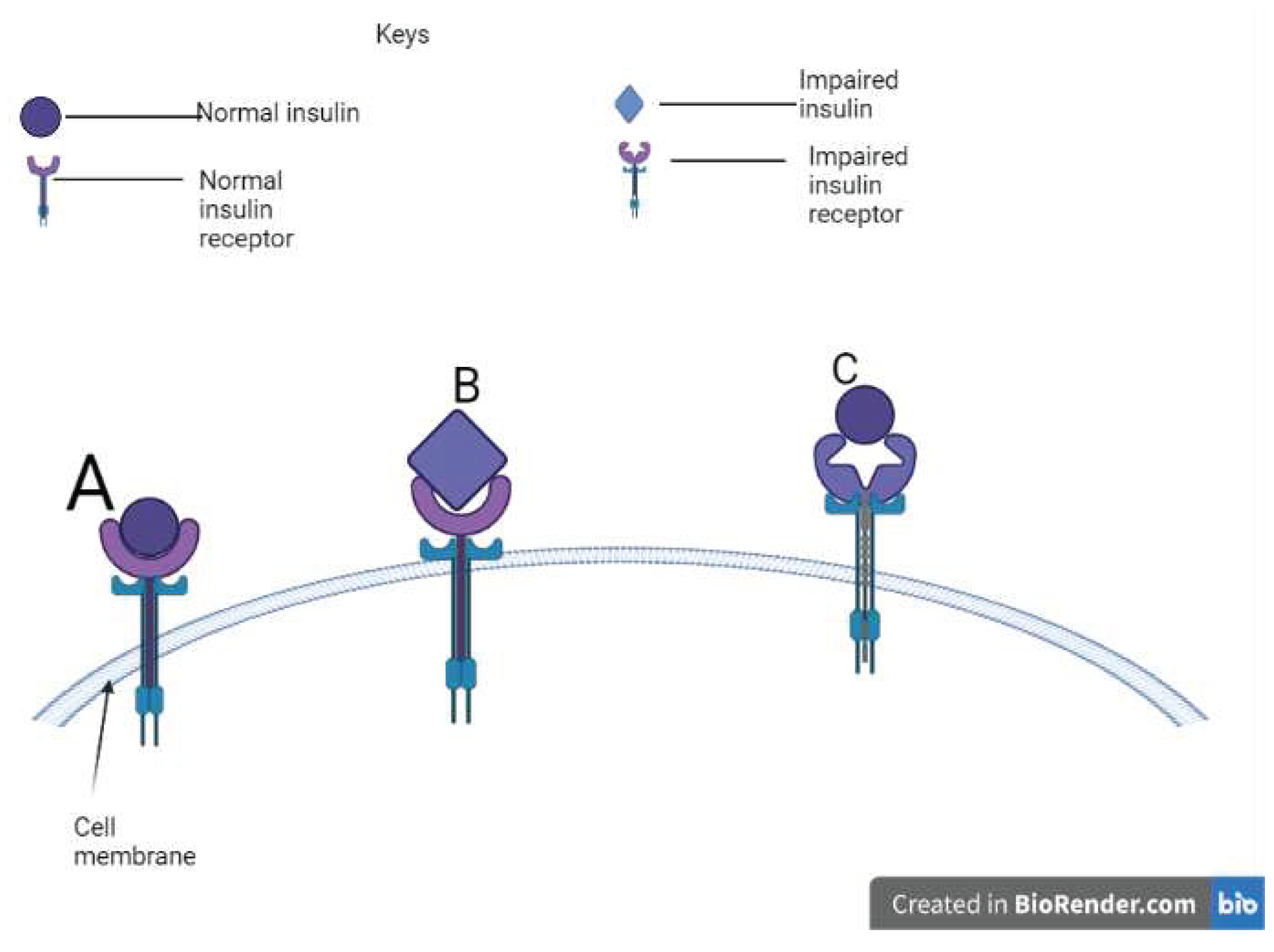 Preprints 79383 g002