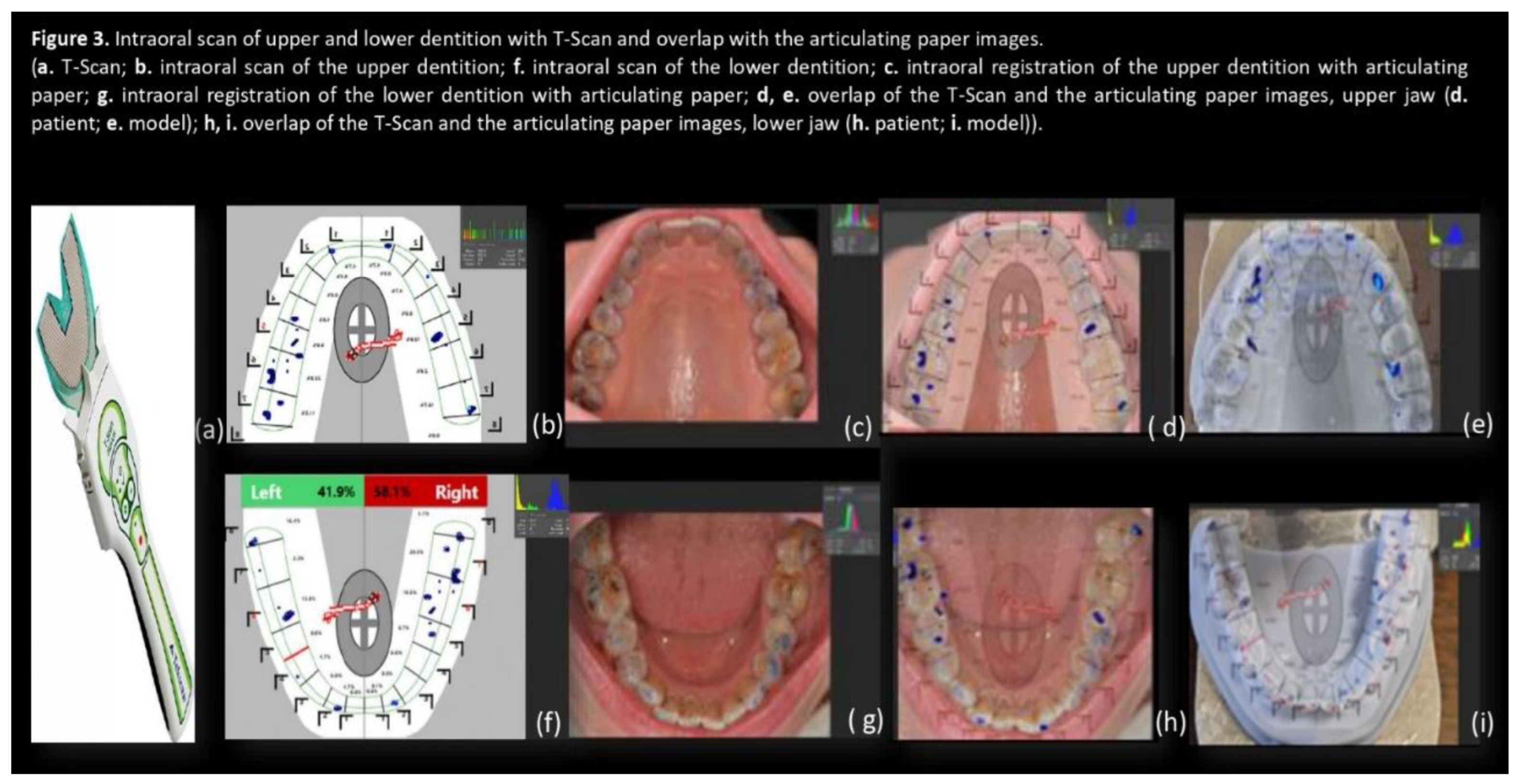 Preprints 208318 g003