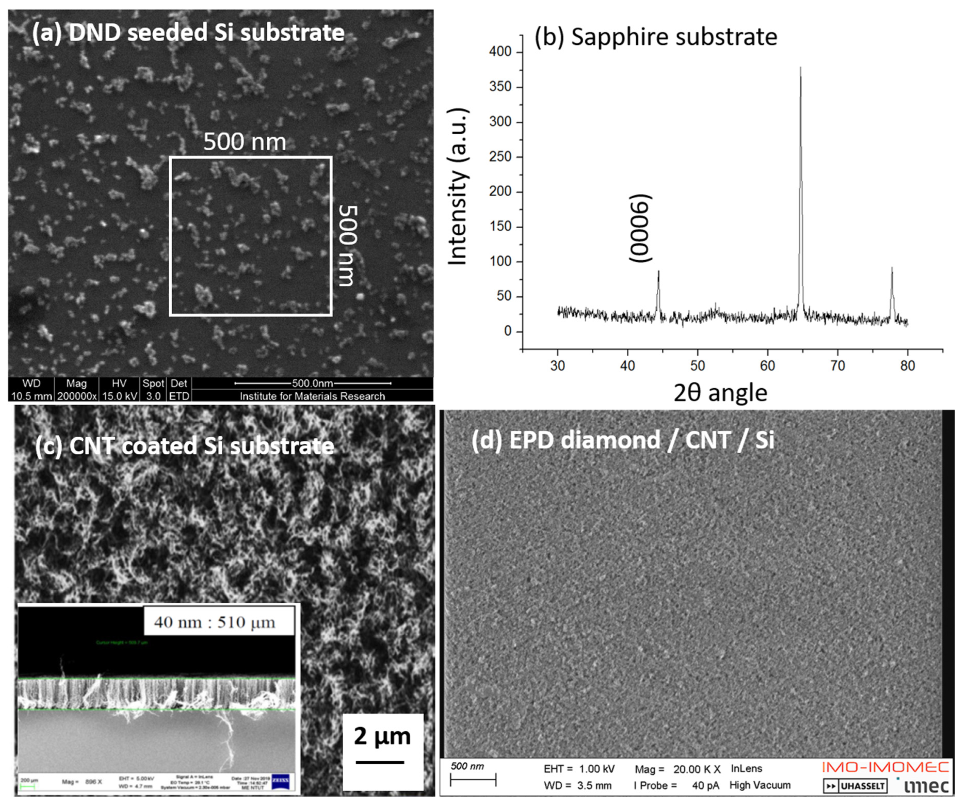 Preprints 94147 g001