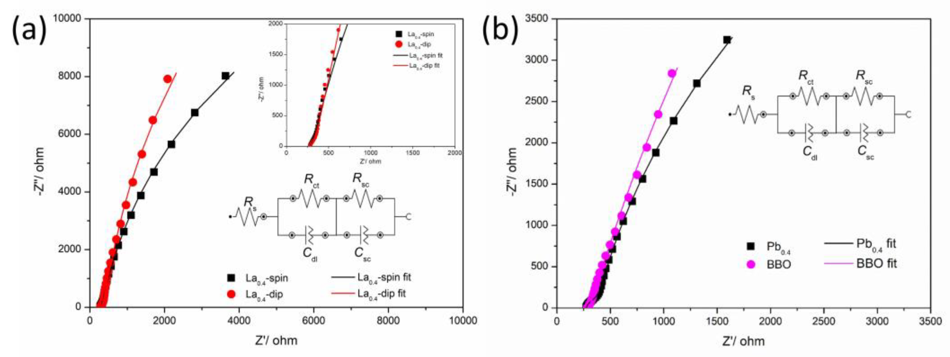 Preprints 161004 g008