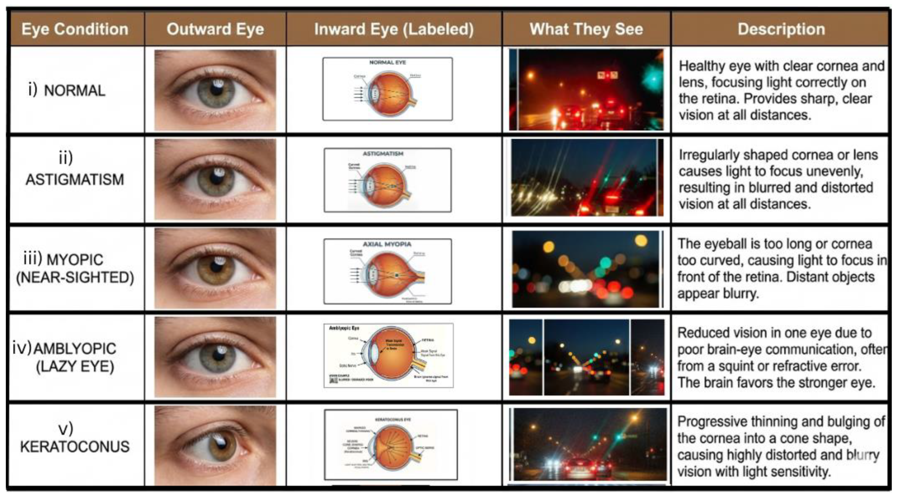 Preprints 191117 g001