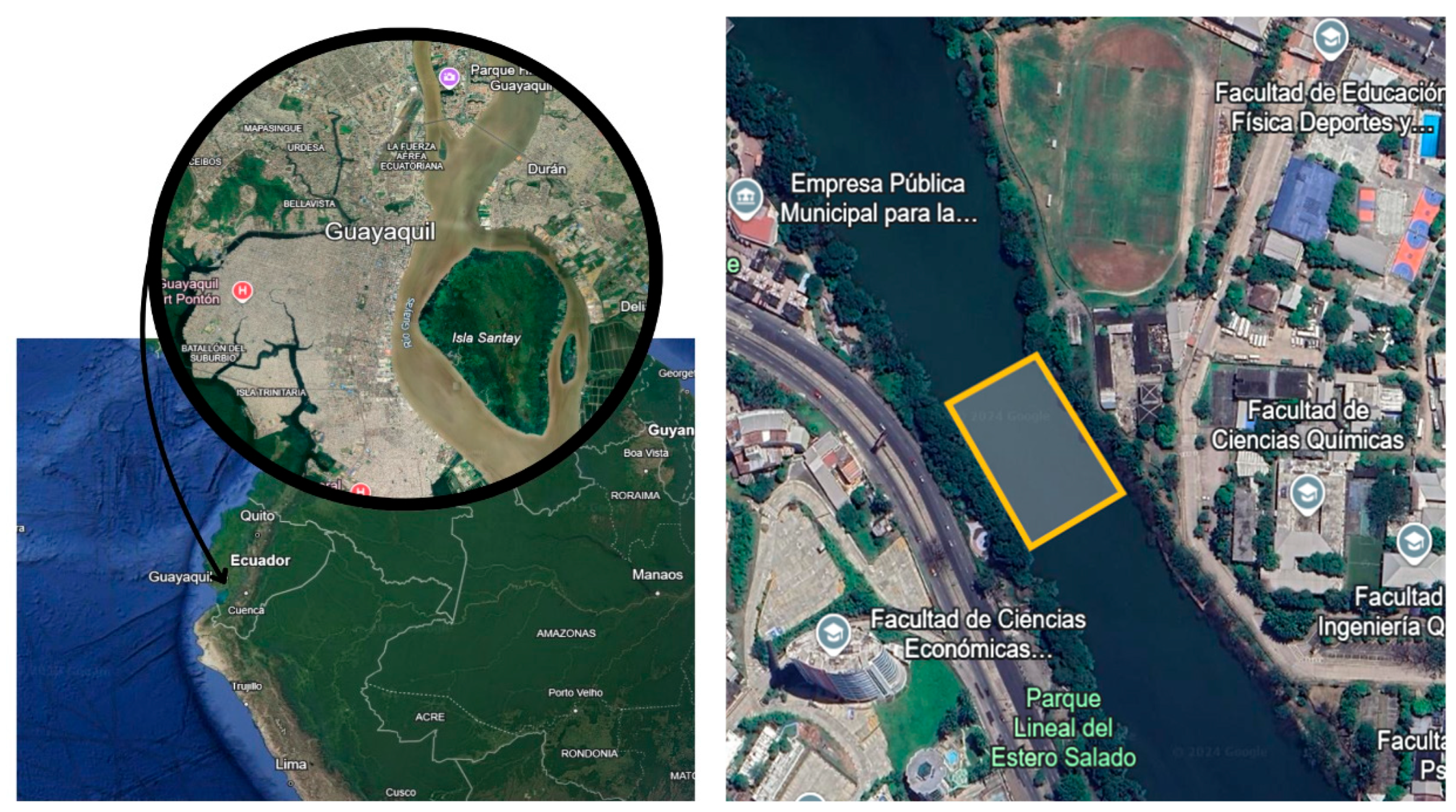 Preprints 154508 g001