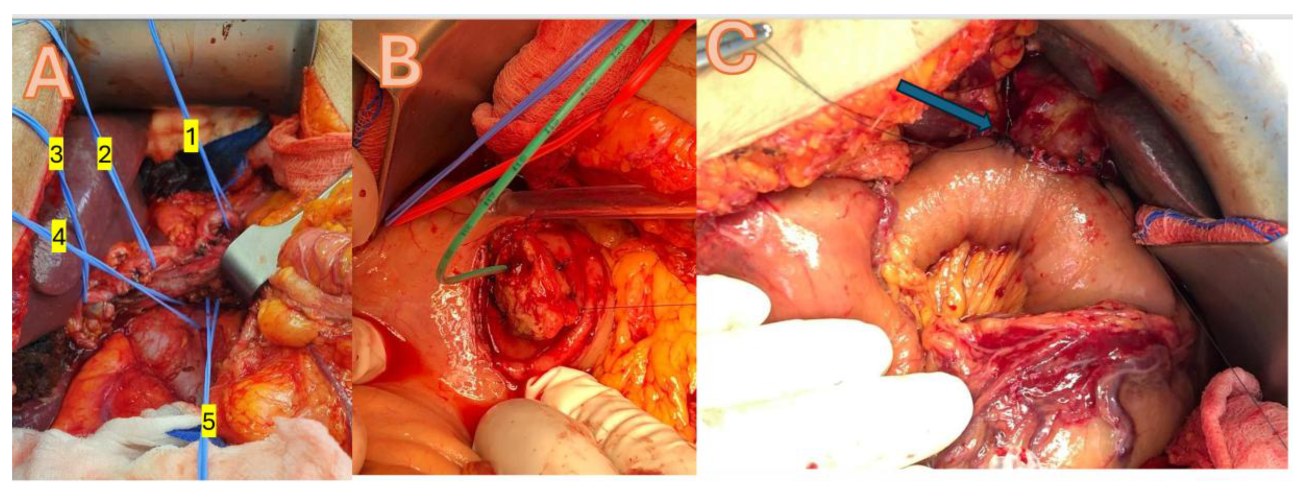 Preprints 153427 g002