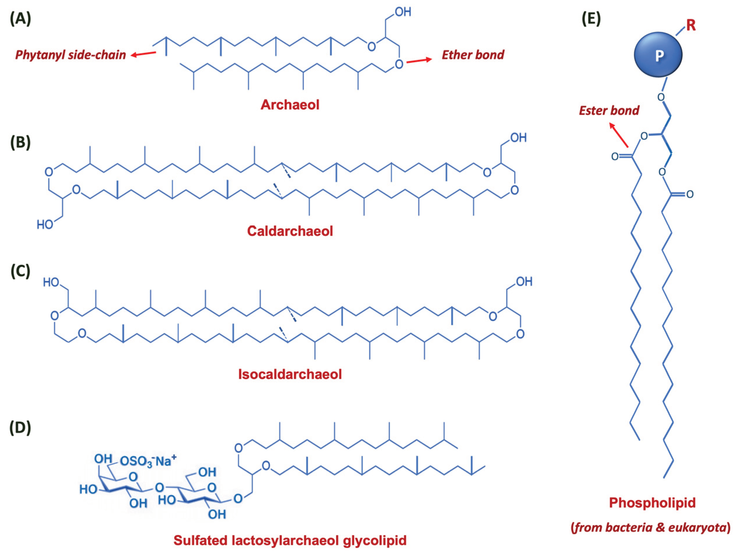 Preprints 102354 g002