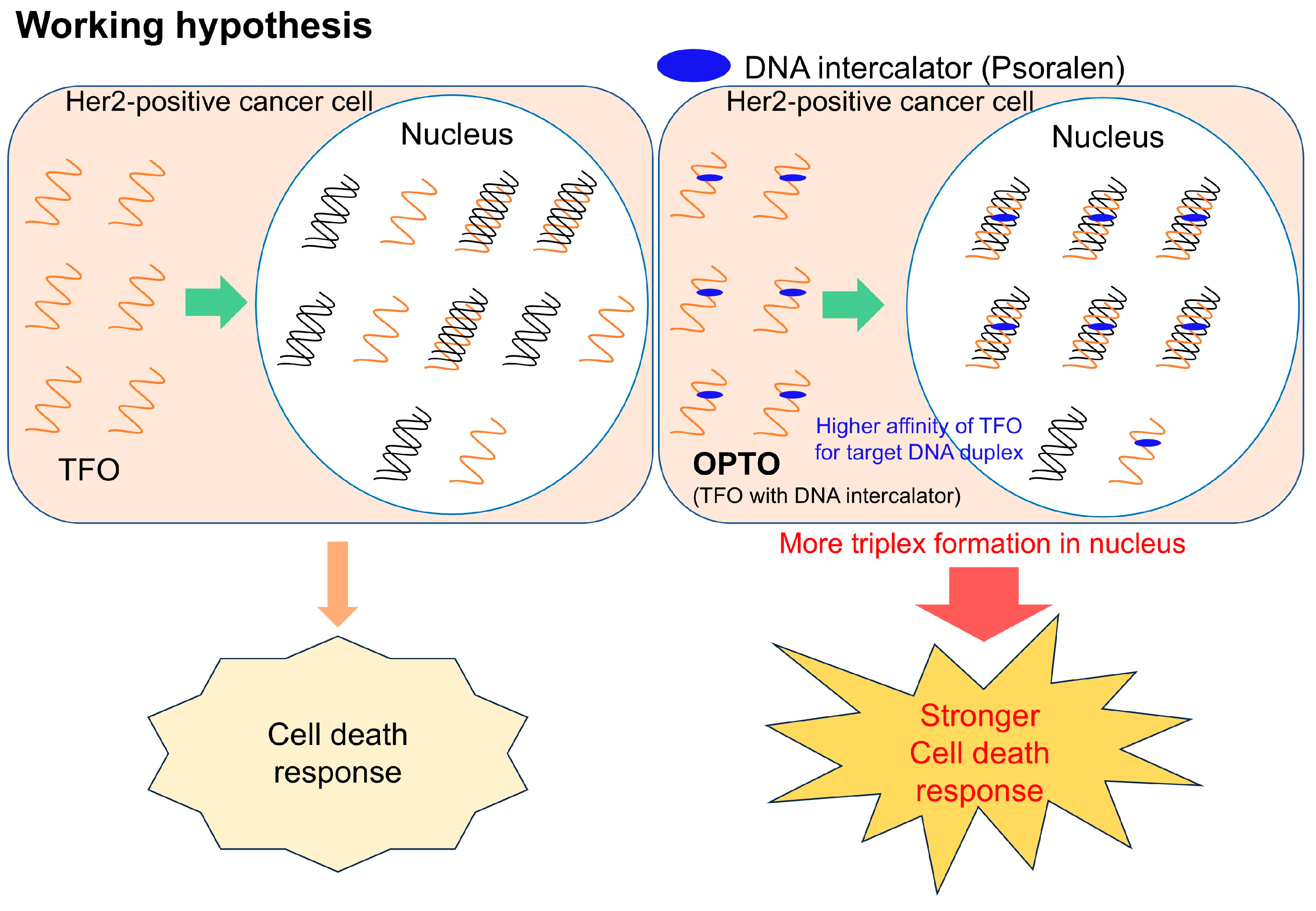 Preprints 157061 g001
