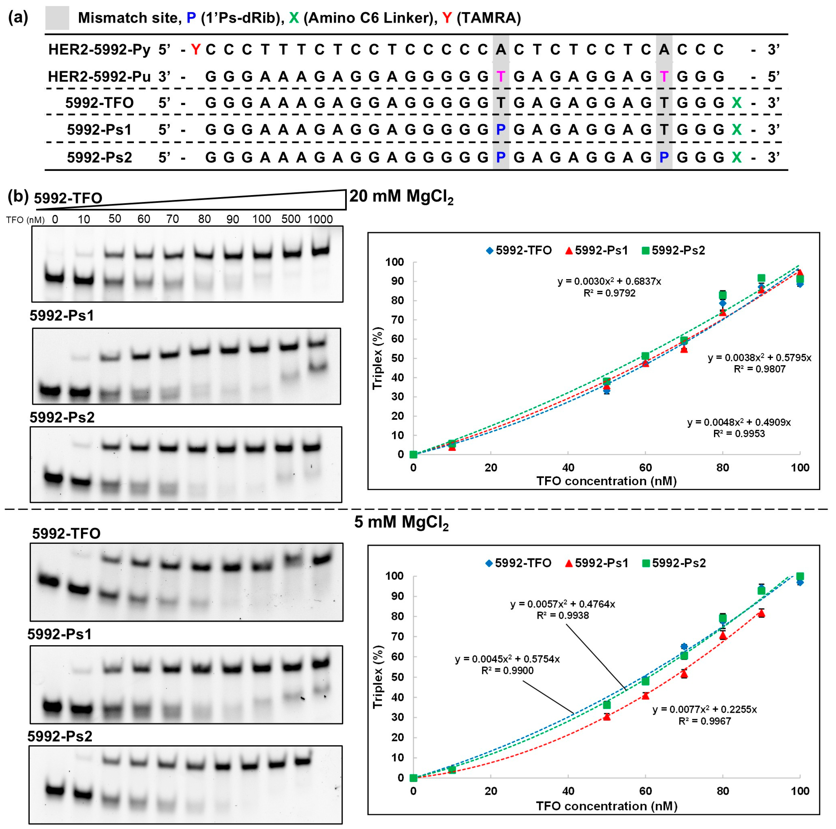 Preprints 157061 g003