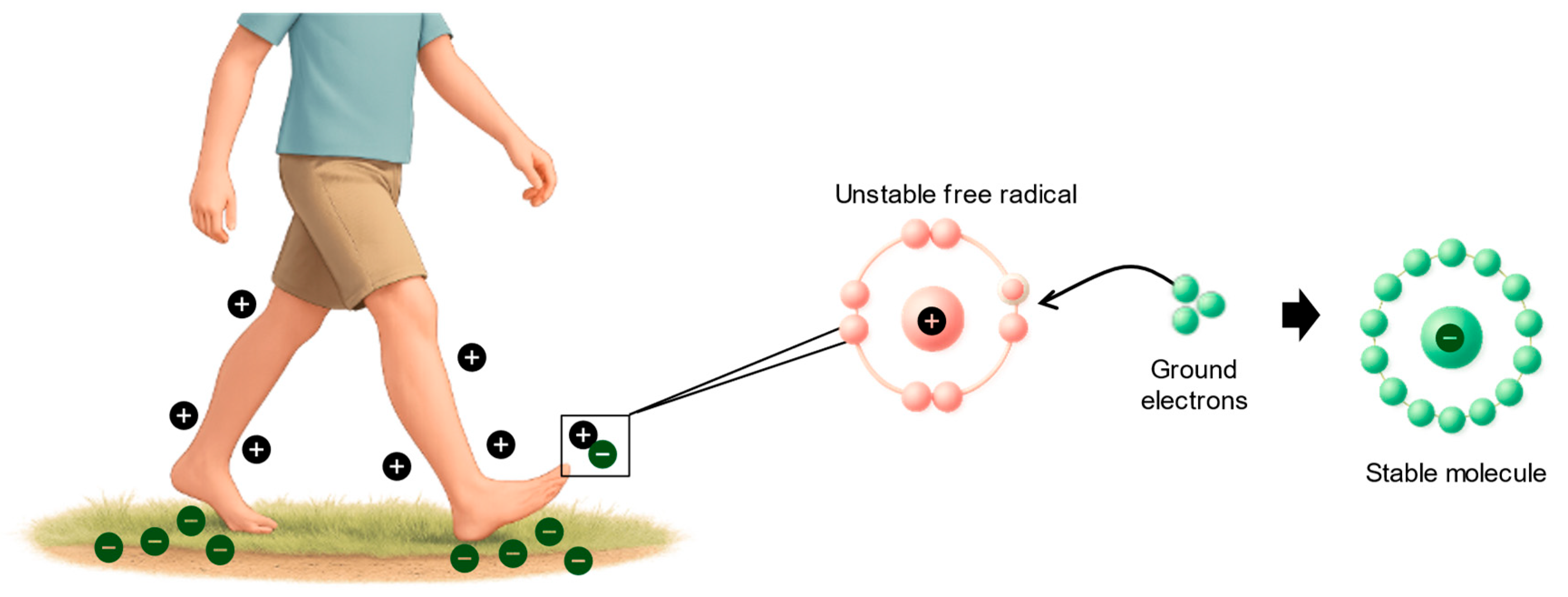 Preprints 179199 g002
