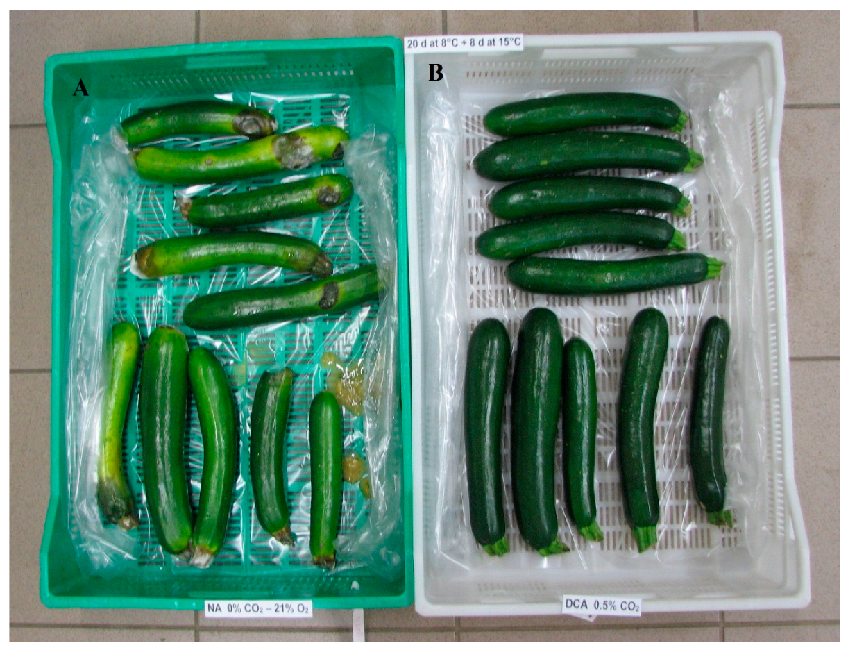 Preprints 173506 g002