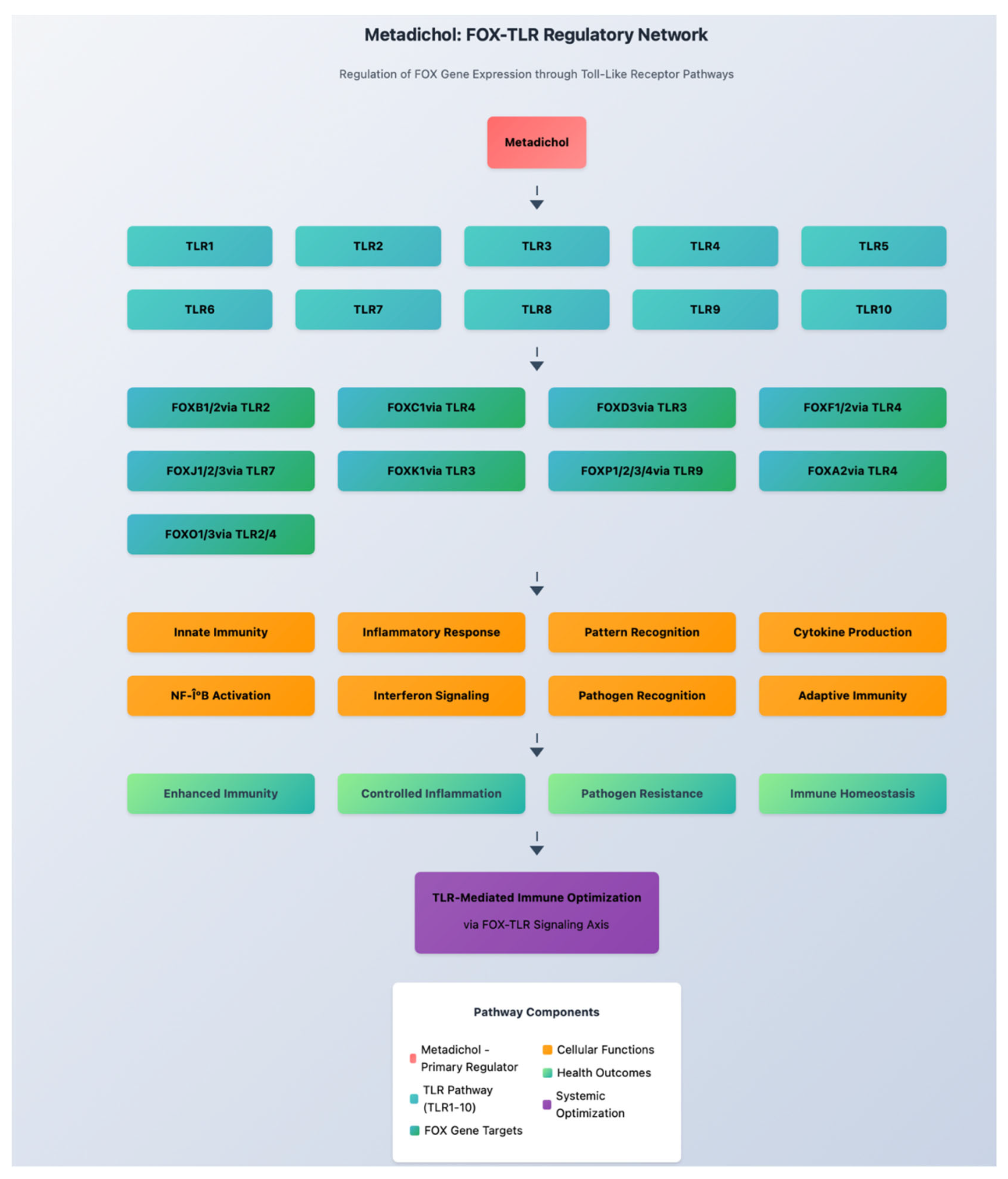 Preprints 172980 g010