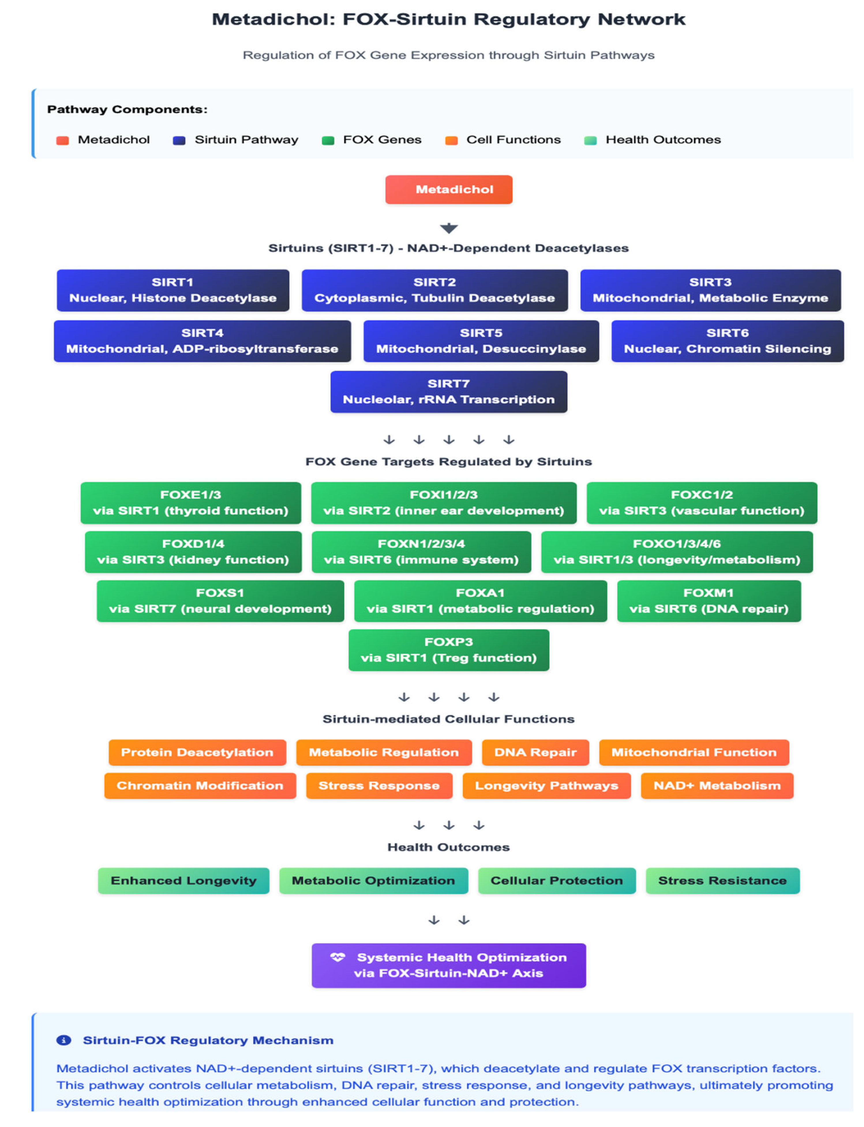 Preprints 172980 g011