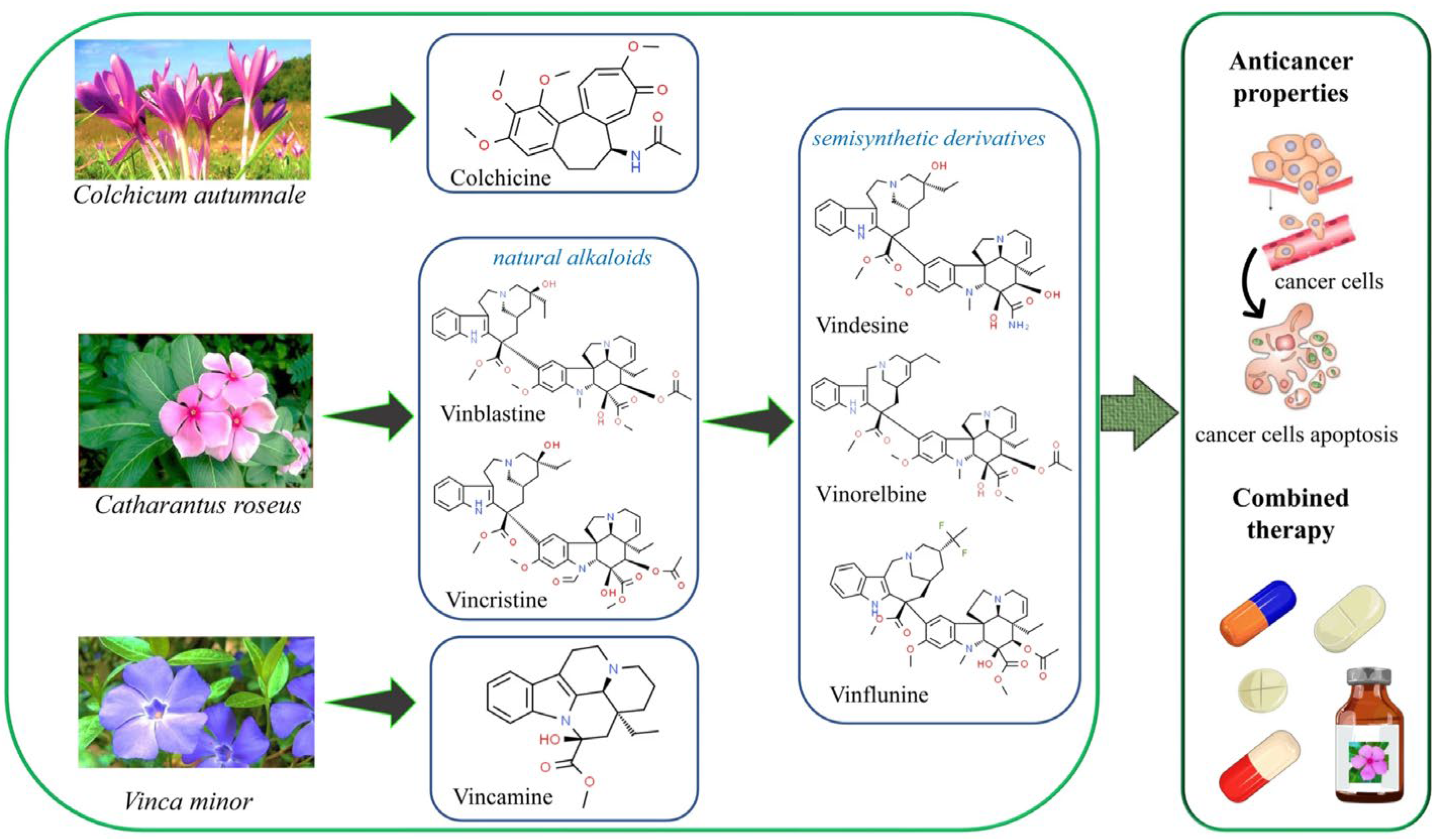 Preprints 139571 g001