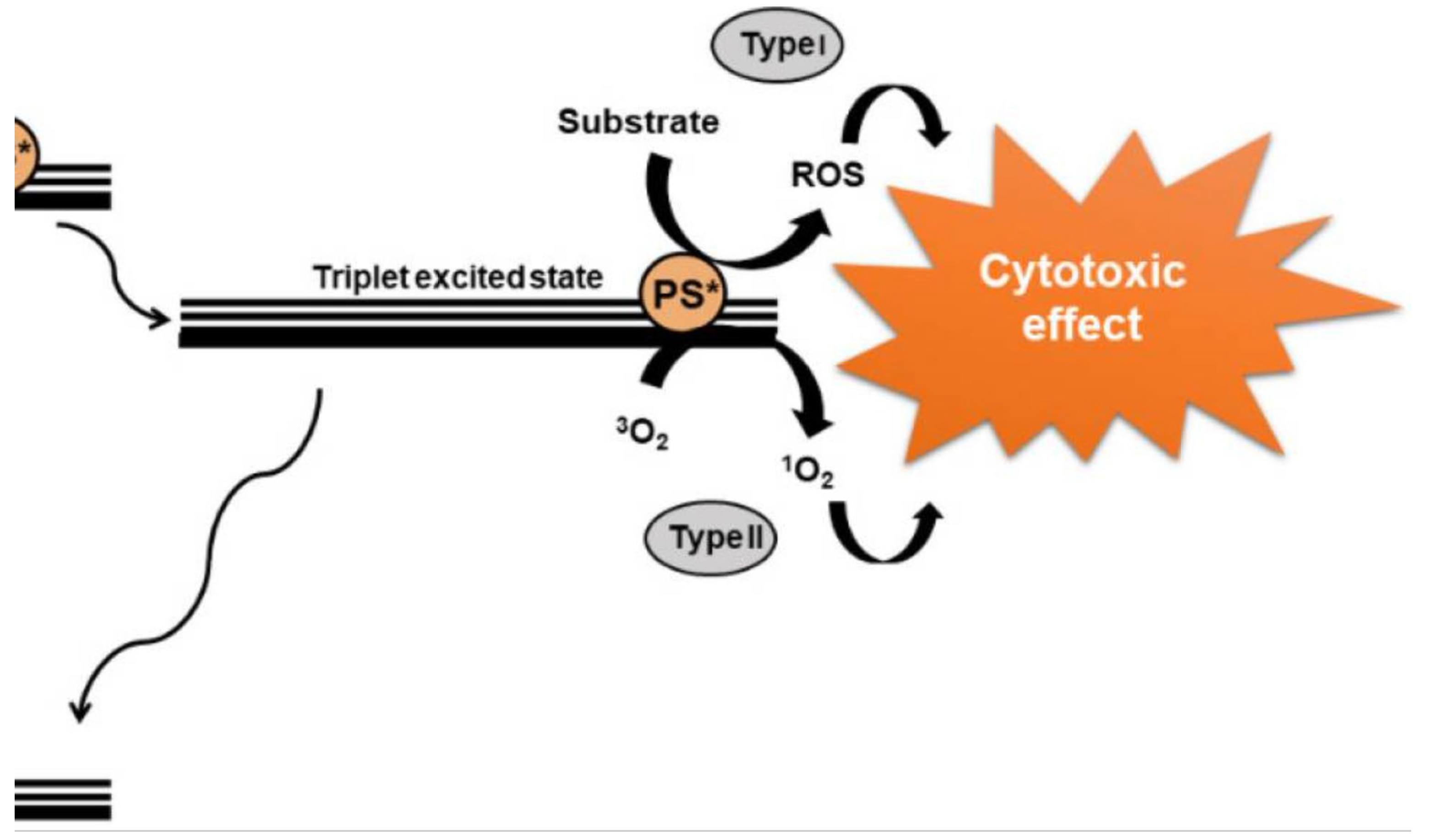 Preprints 139571 g002