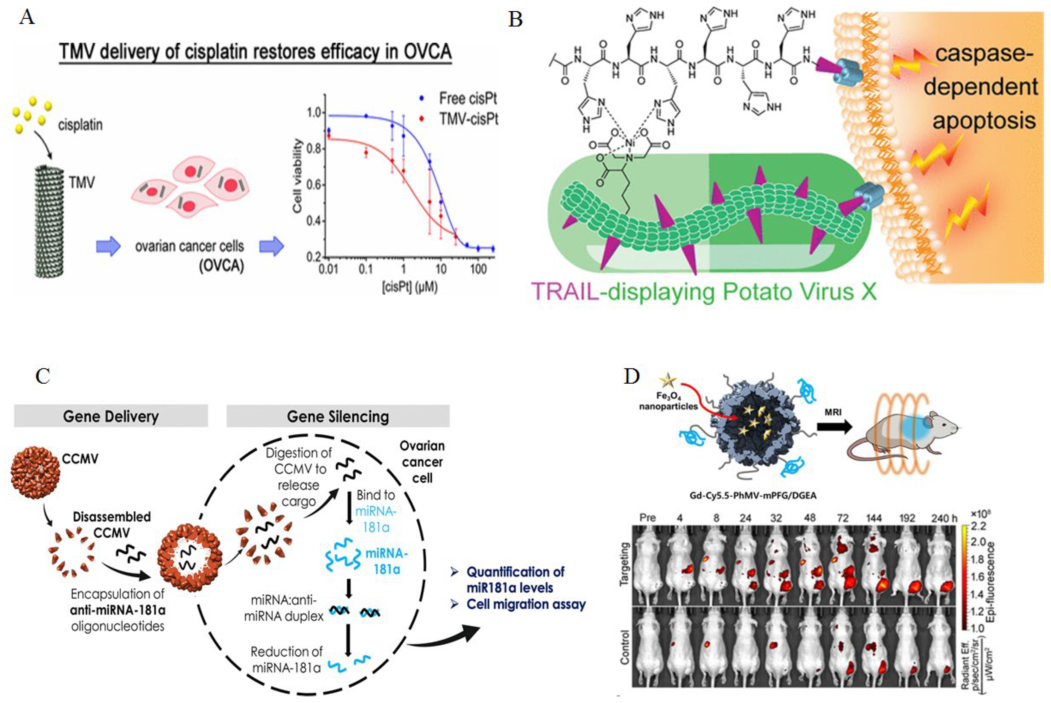 Preprints 139571 g003