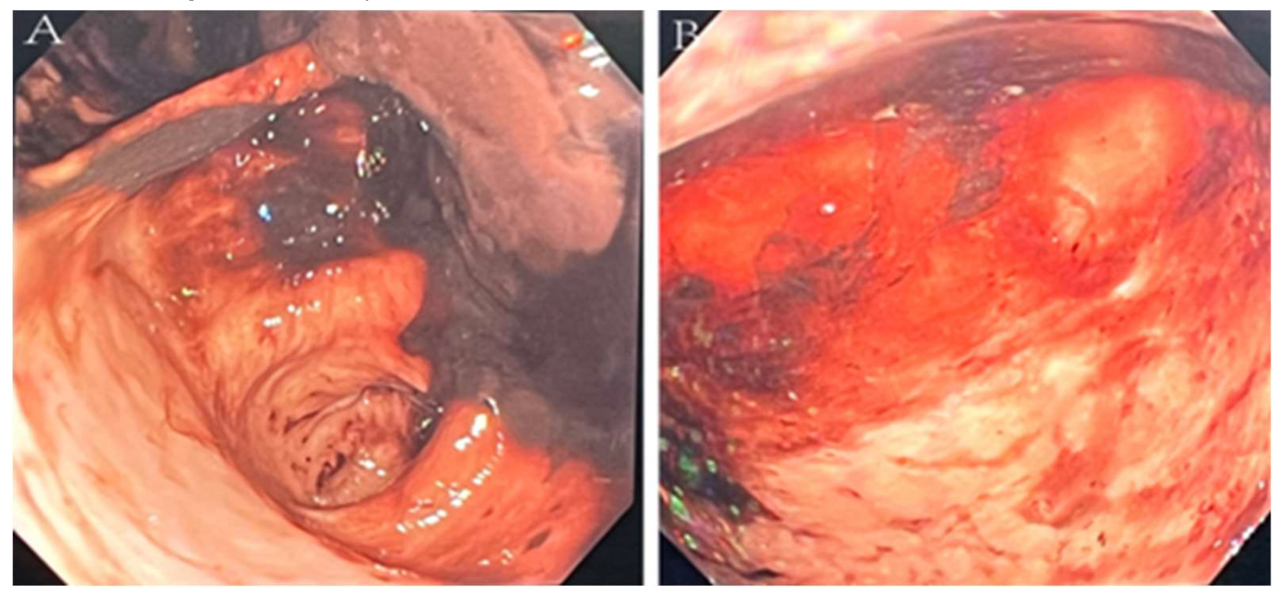 Preprints 117686 g001