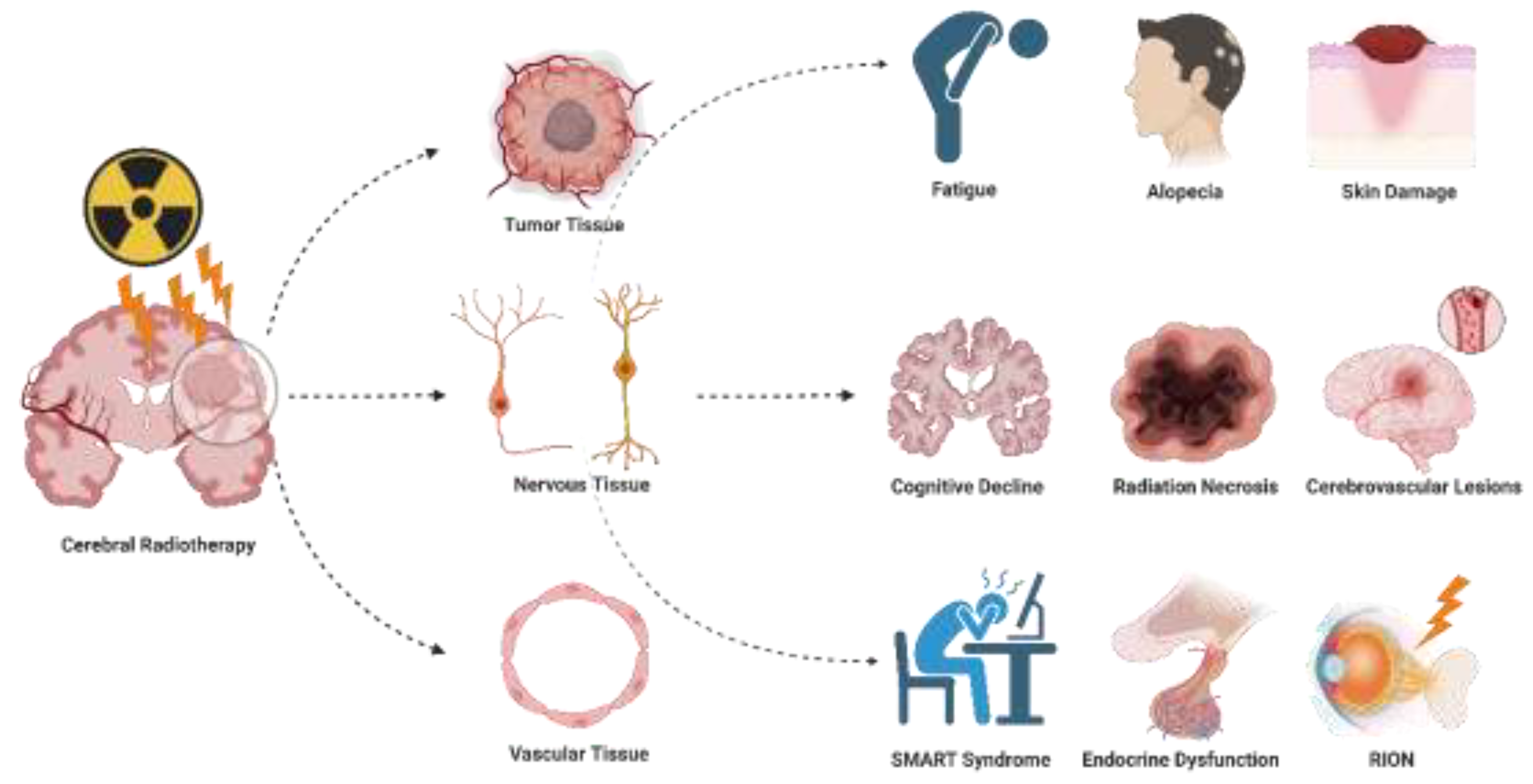 Preprints 138962 g001