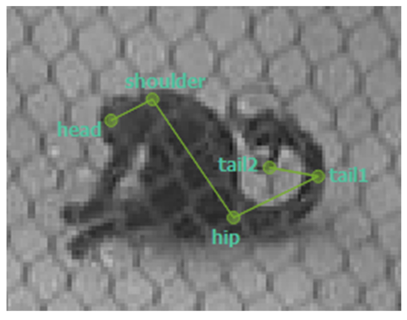 Preprints 177181 g001