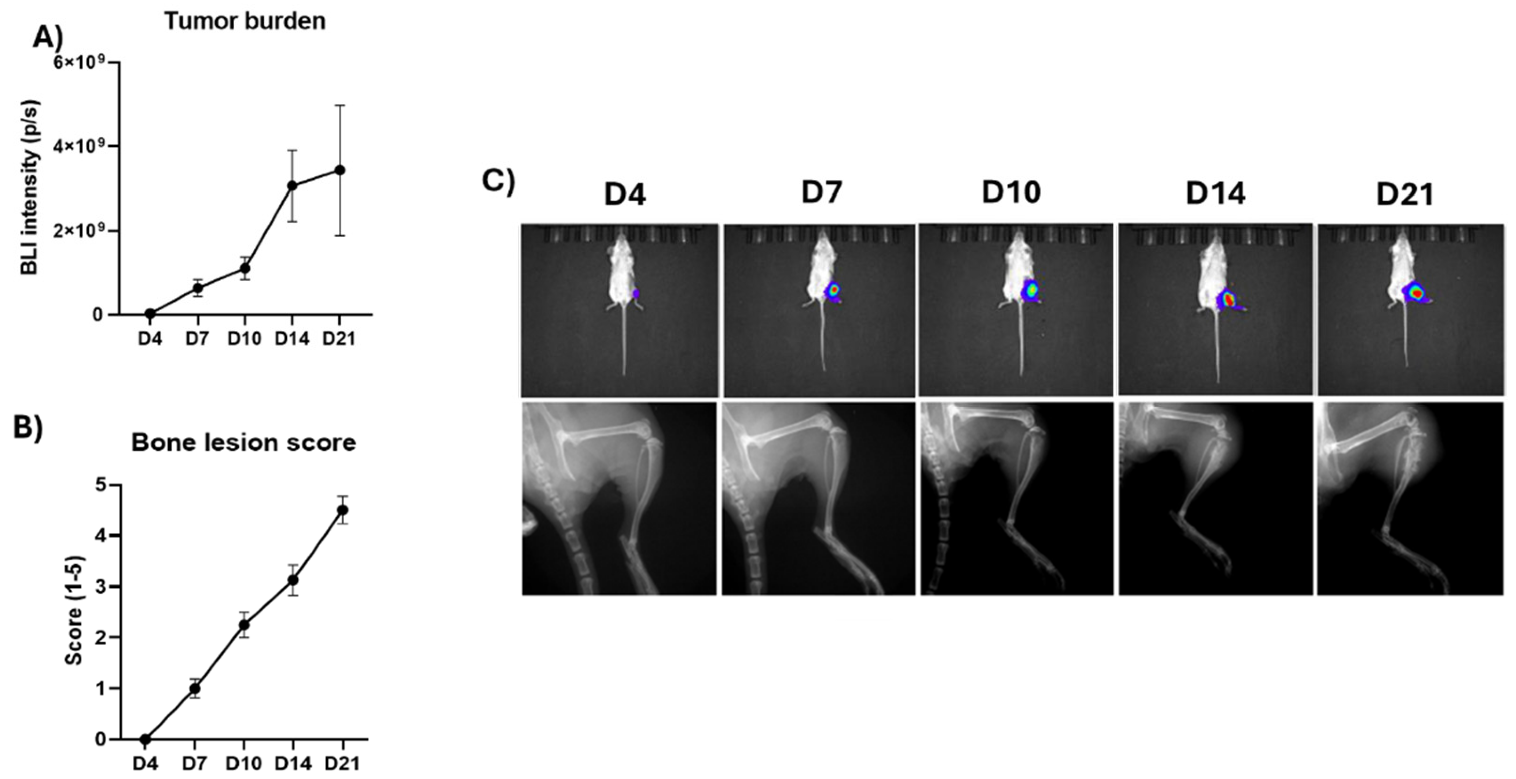 Preprints 157826 g001