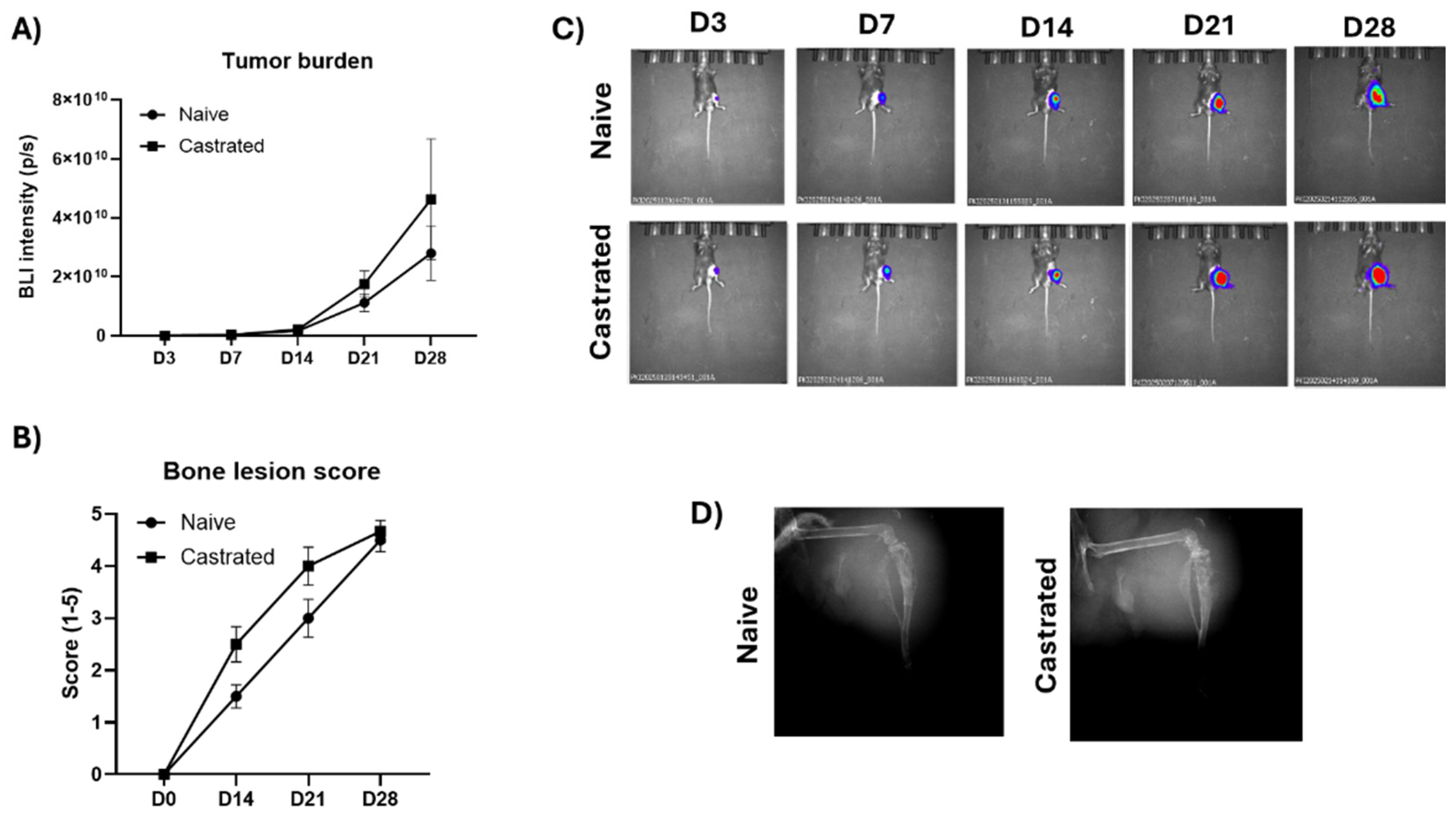 Preprints 157826 g002