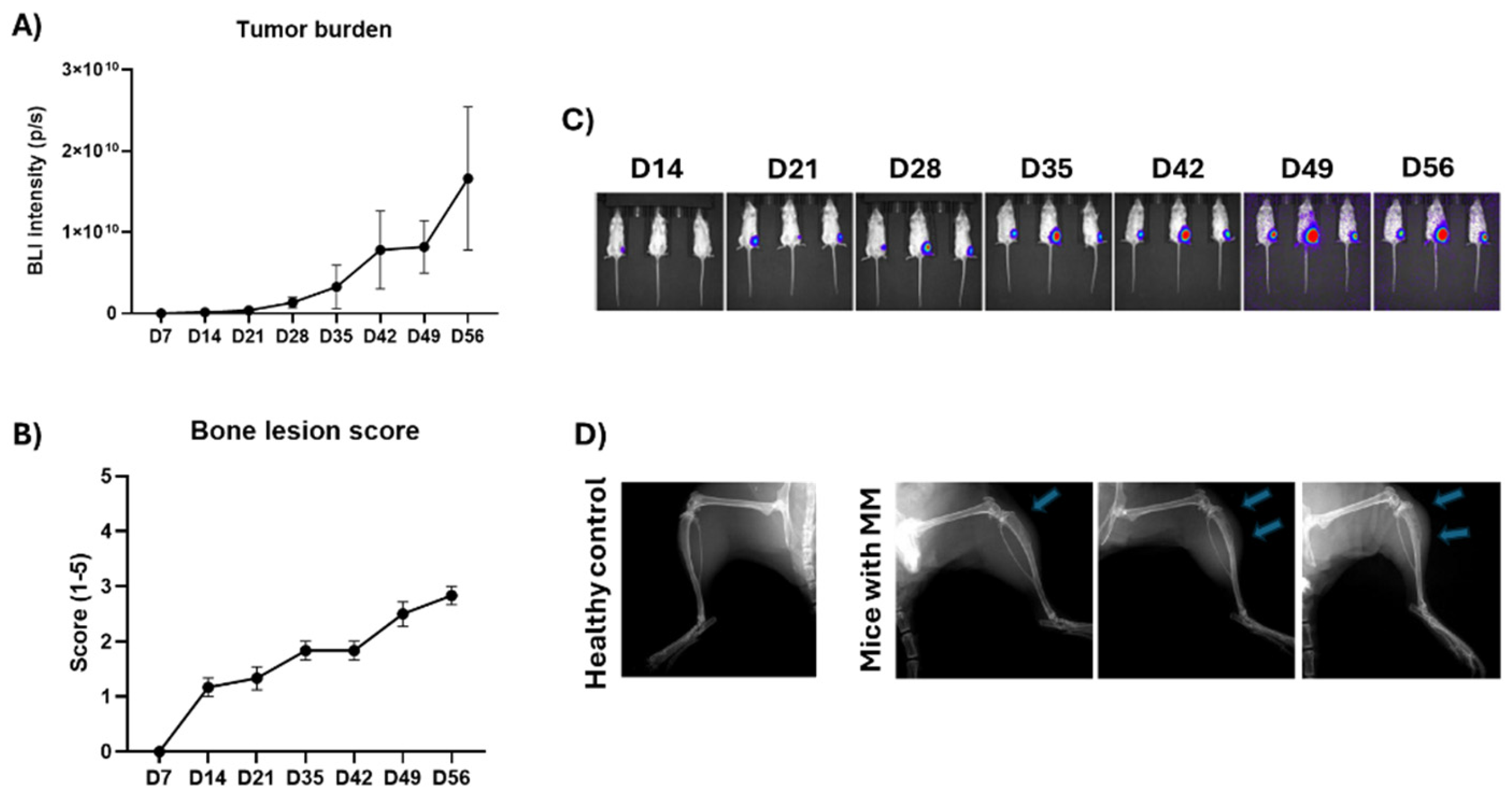 Preprints 157826 g003