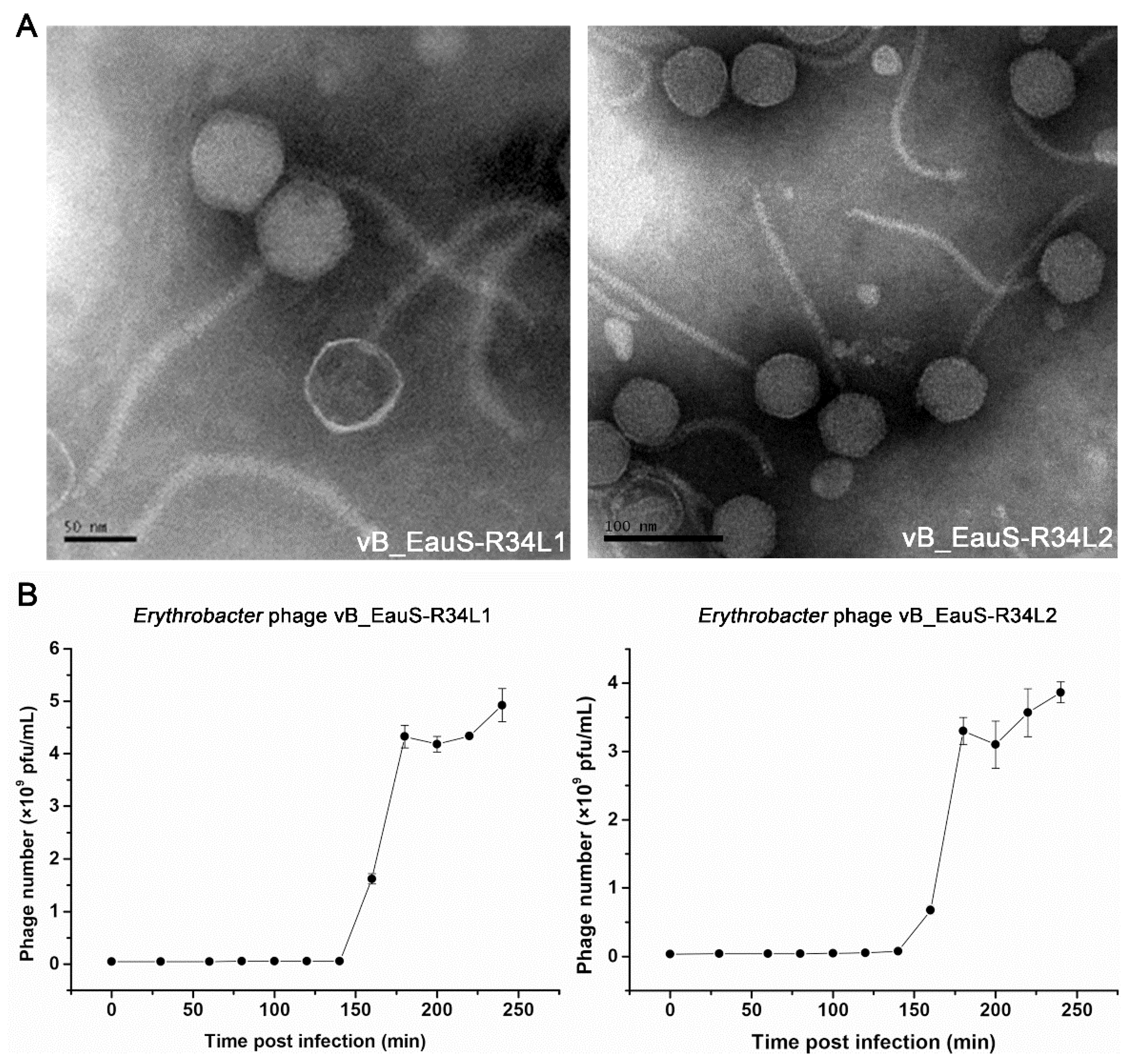Preprints 150021 g001