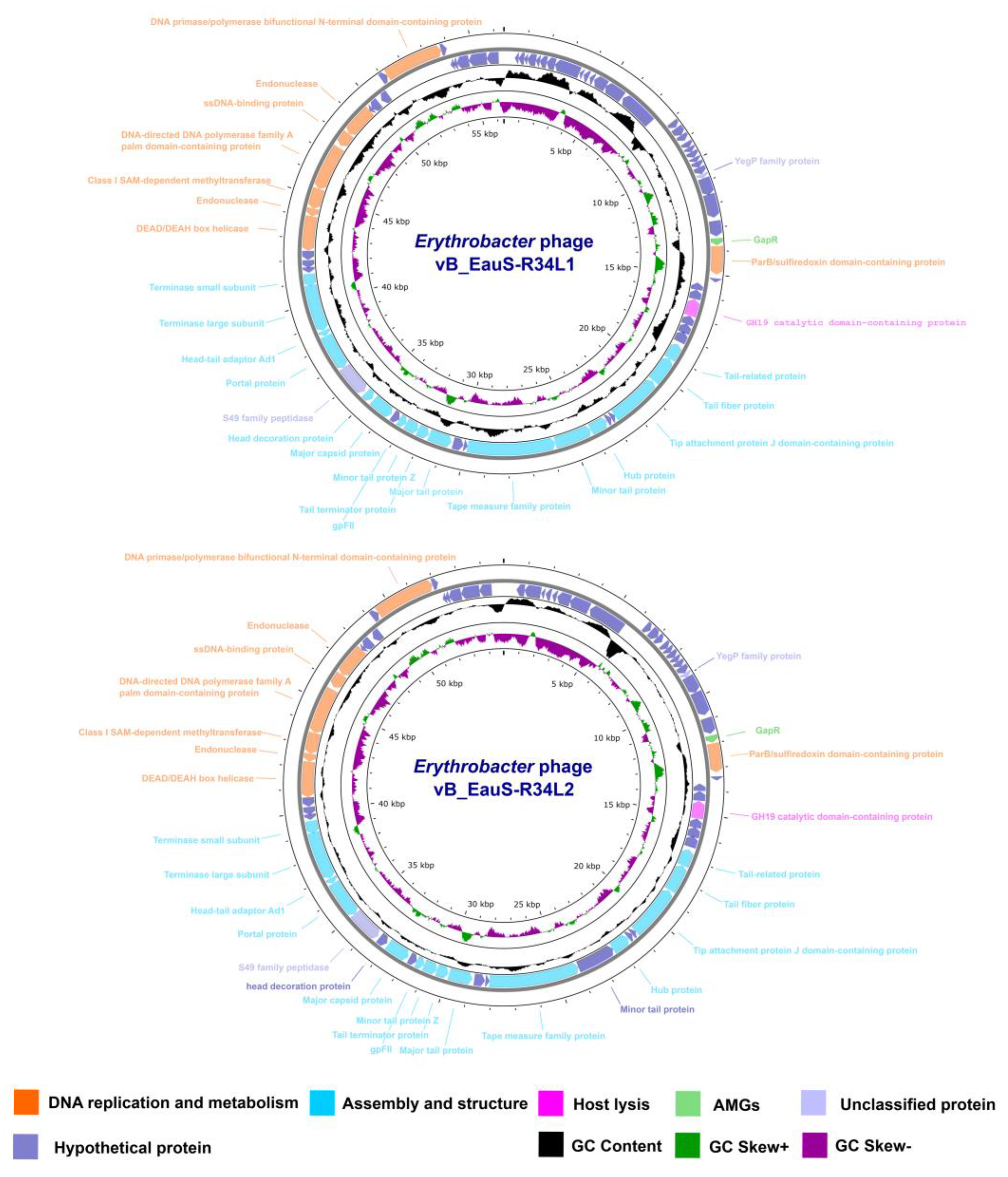 Preprints 150021 g003