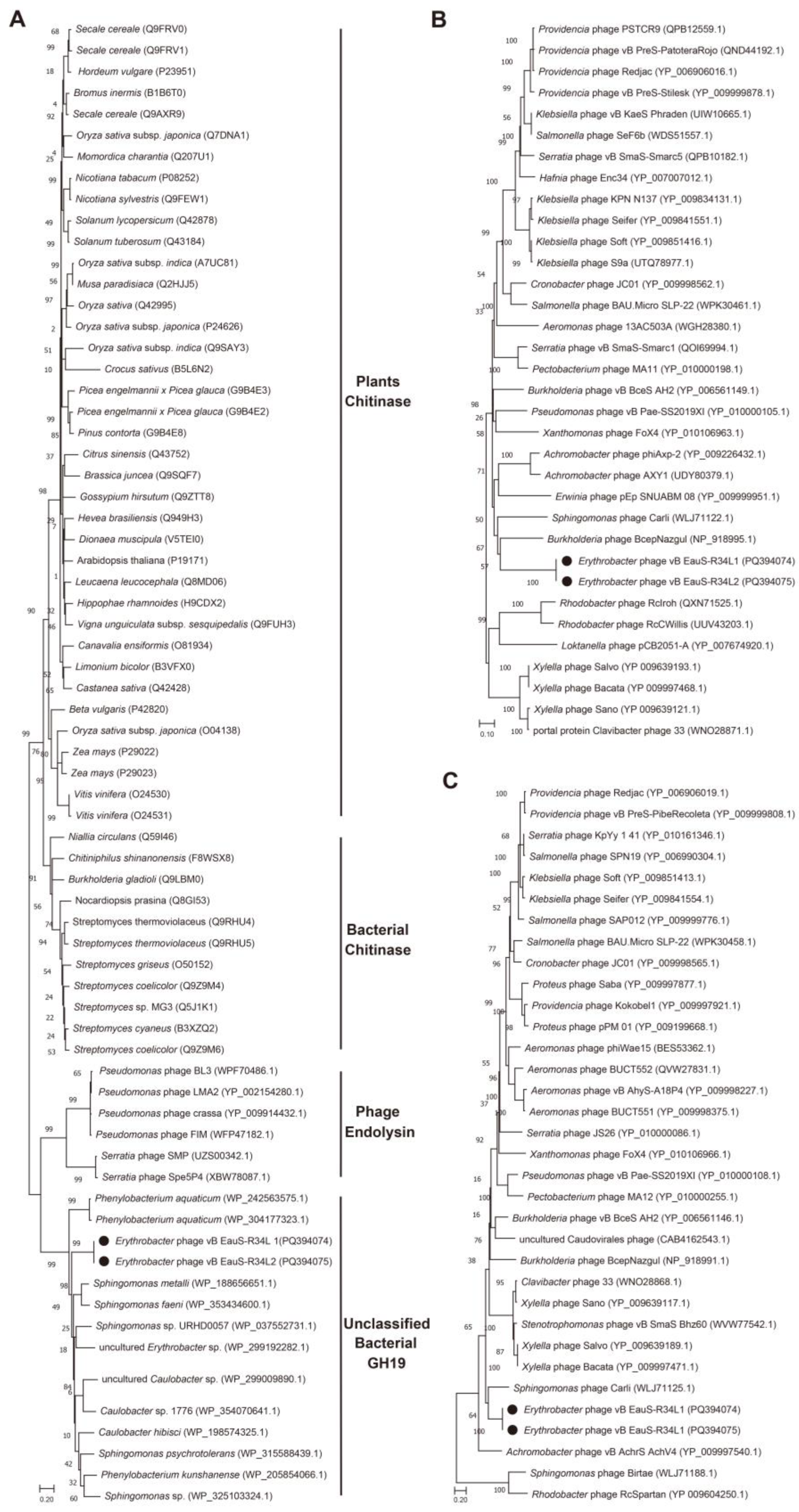 Preprints 150021 g006
