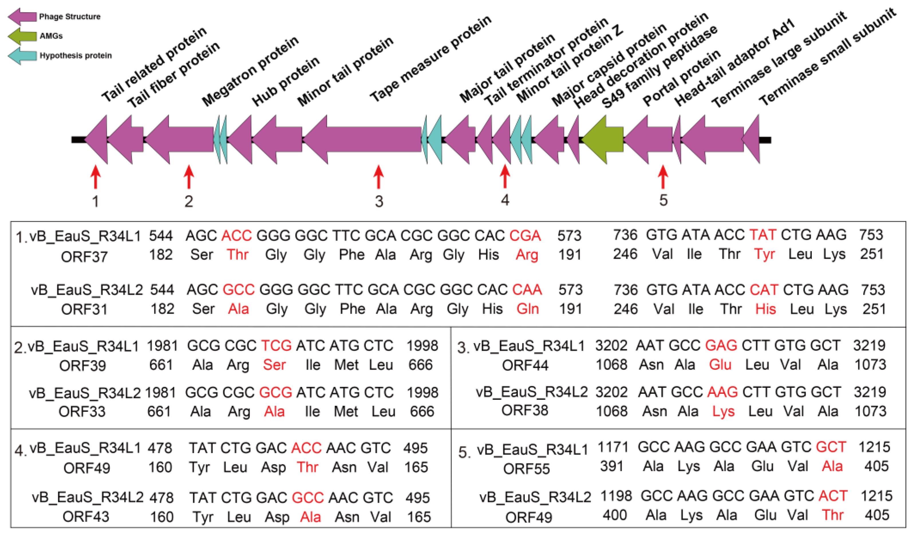 Preprints 150021 g008