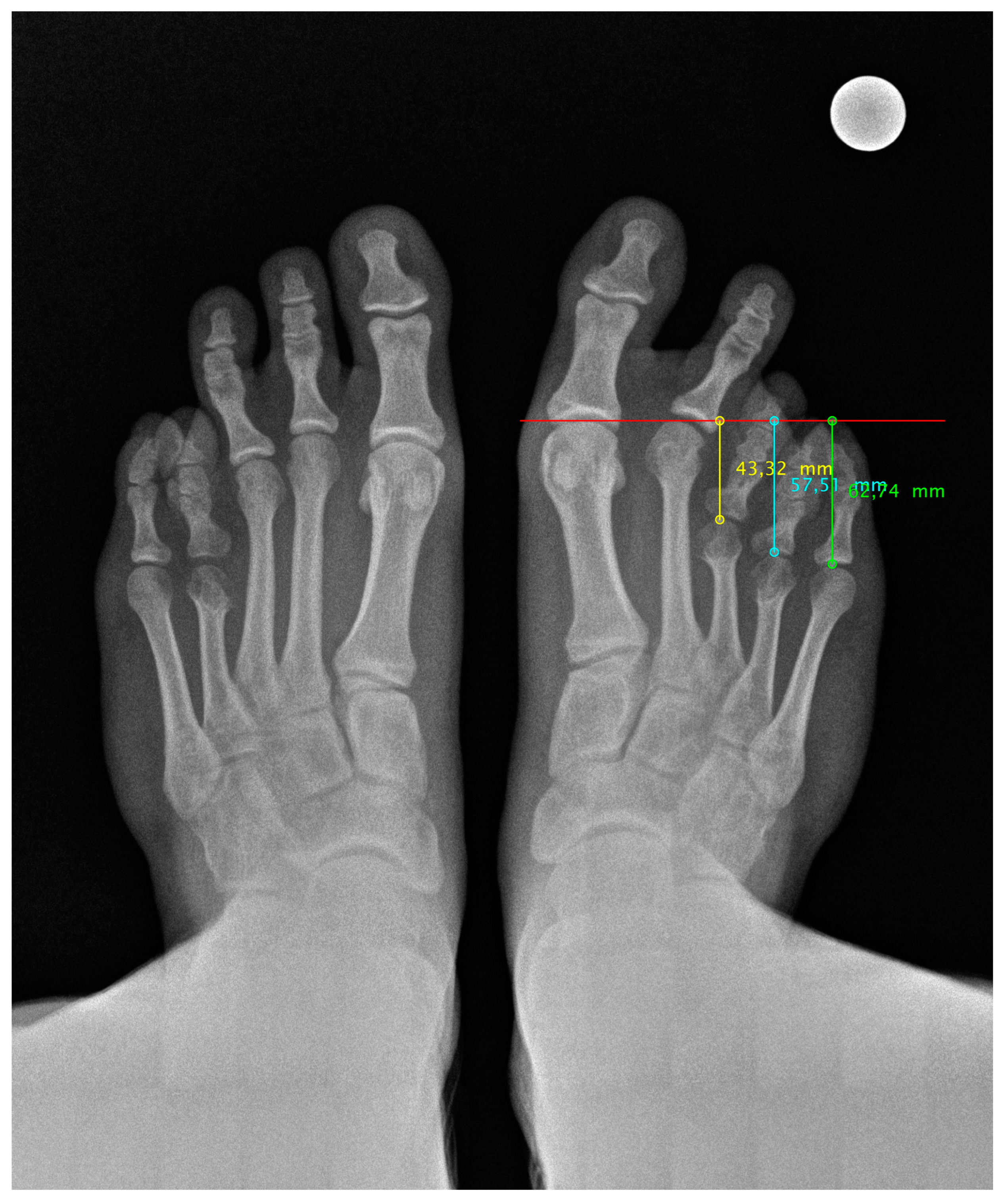 Preprints 148640 g001