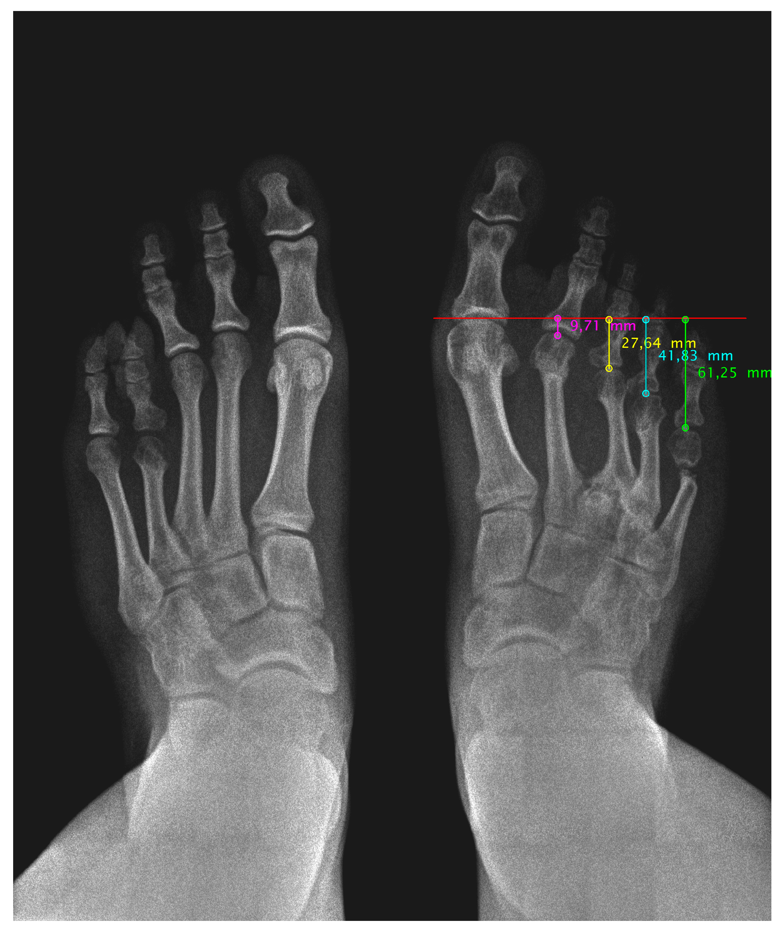 Preprints 148640 g002