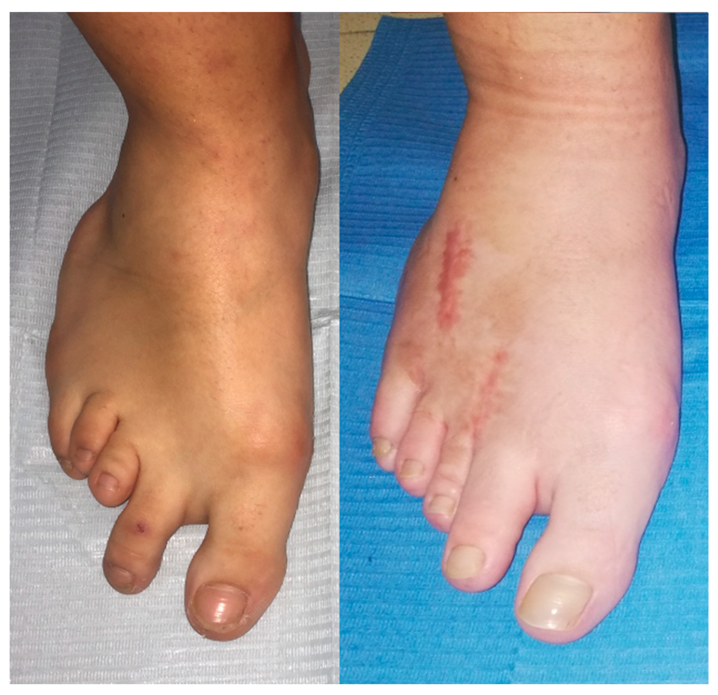 Preprints 148640 g003