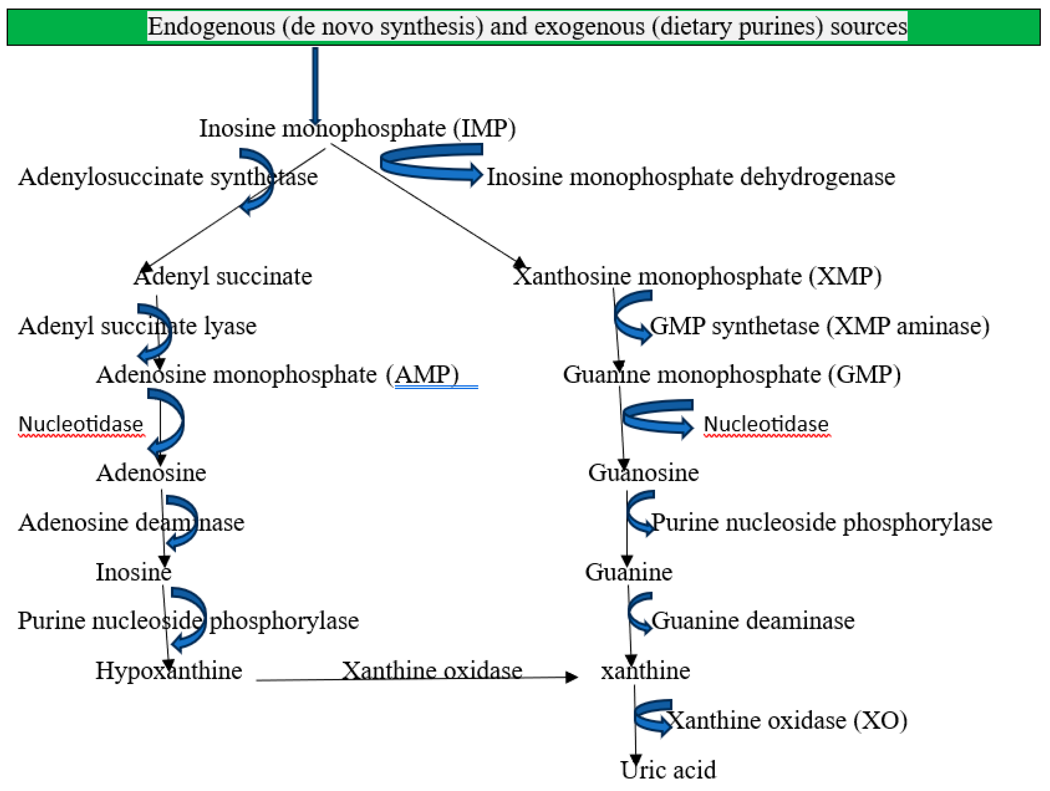 Preprints 142149 g001