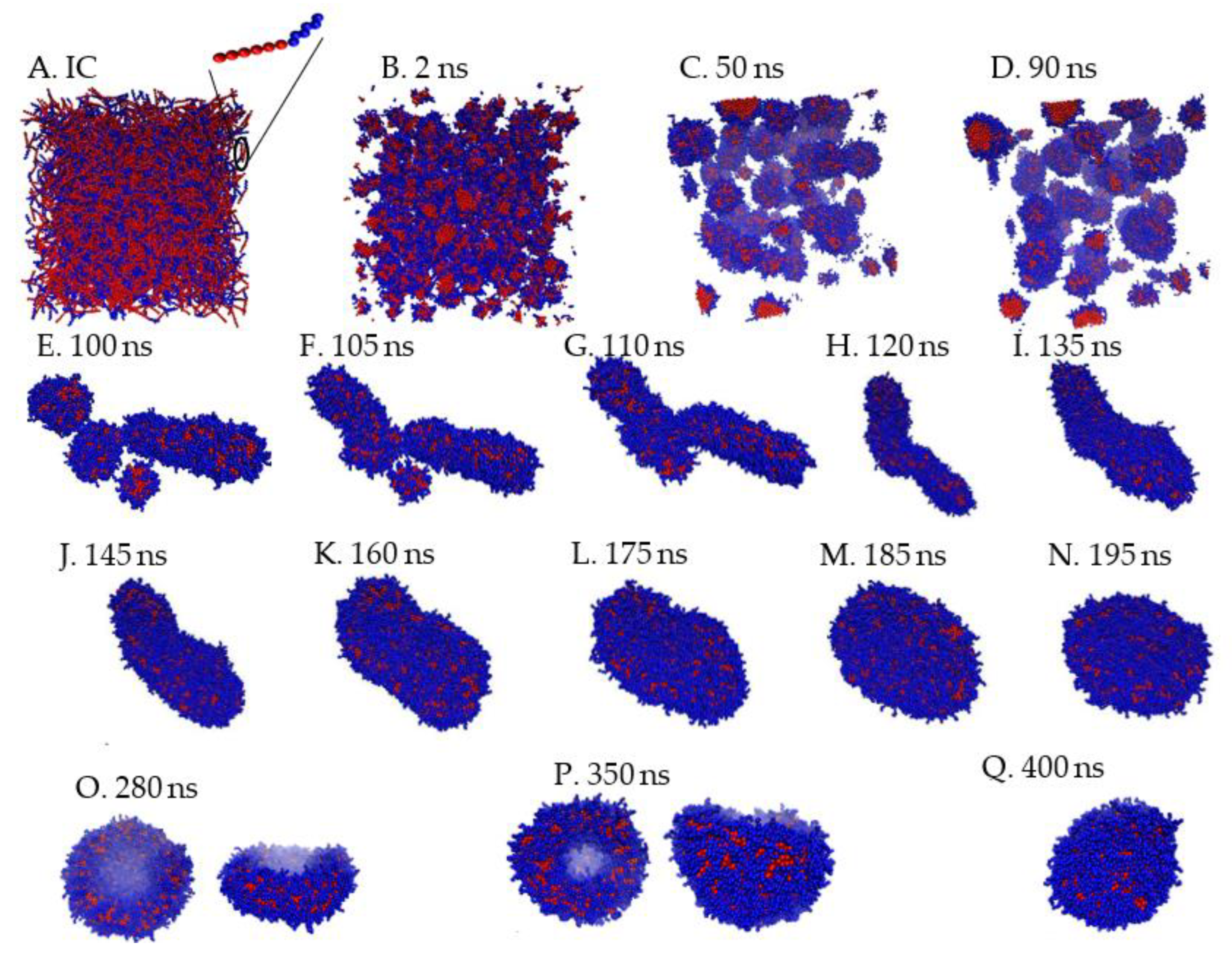 Preprints 93500 g002